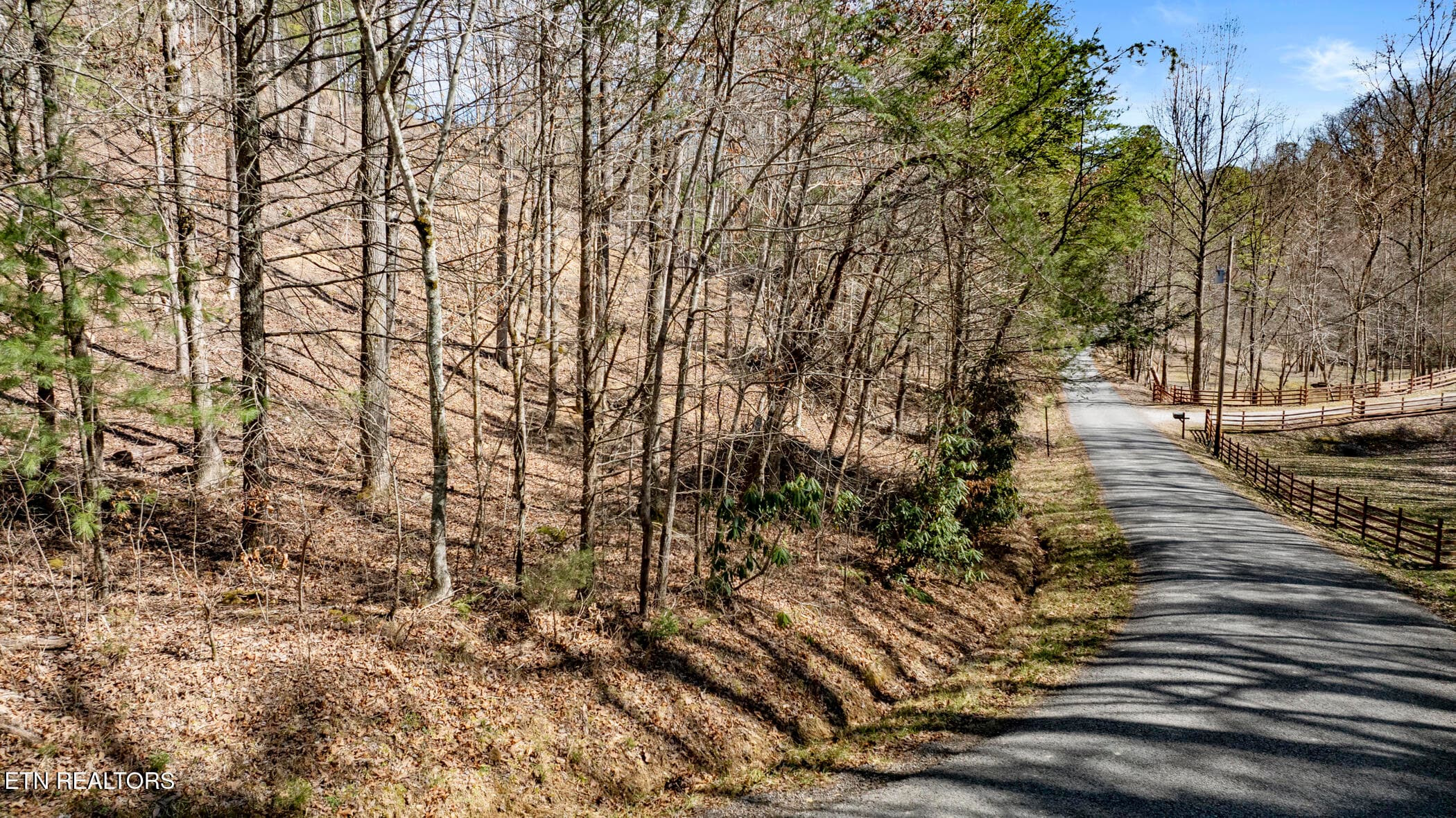 COVE HOLLOW 6 - 272 Cove Hollow Rd, Cosby, TN 37722, Cosby