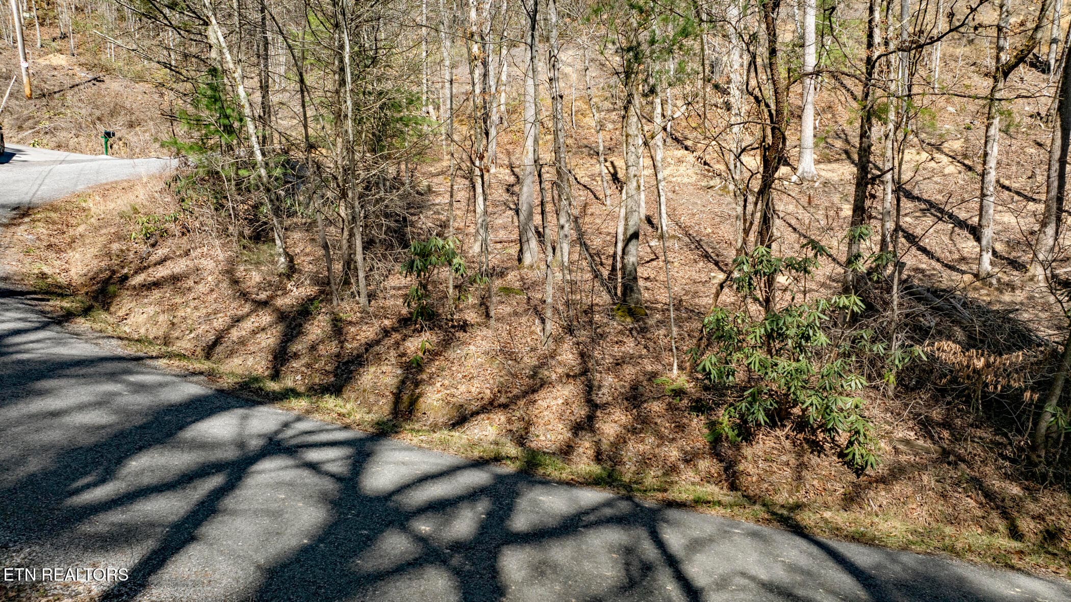 COVE HOLLOW 7 - 272 Cove Hollow Rd, Cosby, TN 37722, Cosby