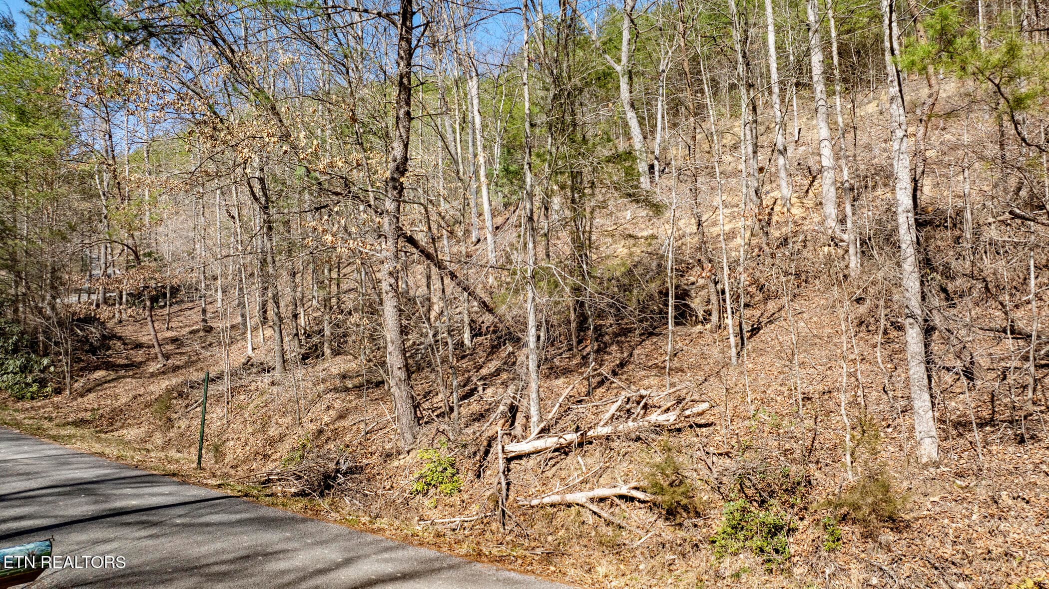 COVE HOLLOW 10 - 272 Cove Hollow Rd, Cosby, TN 37722, Cosby