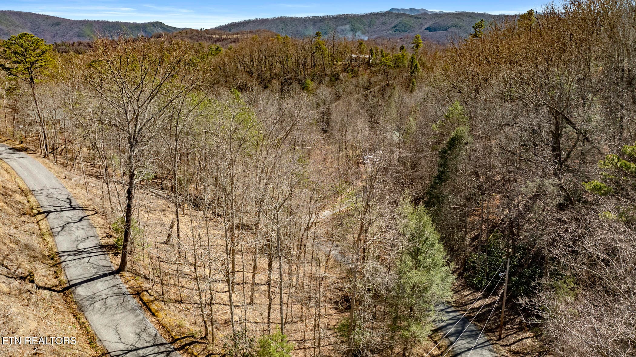 COVE HOLLOW 18 - 272 Cove Hollow Rd, Cosby, TN 37722, Cosby