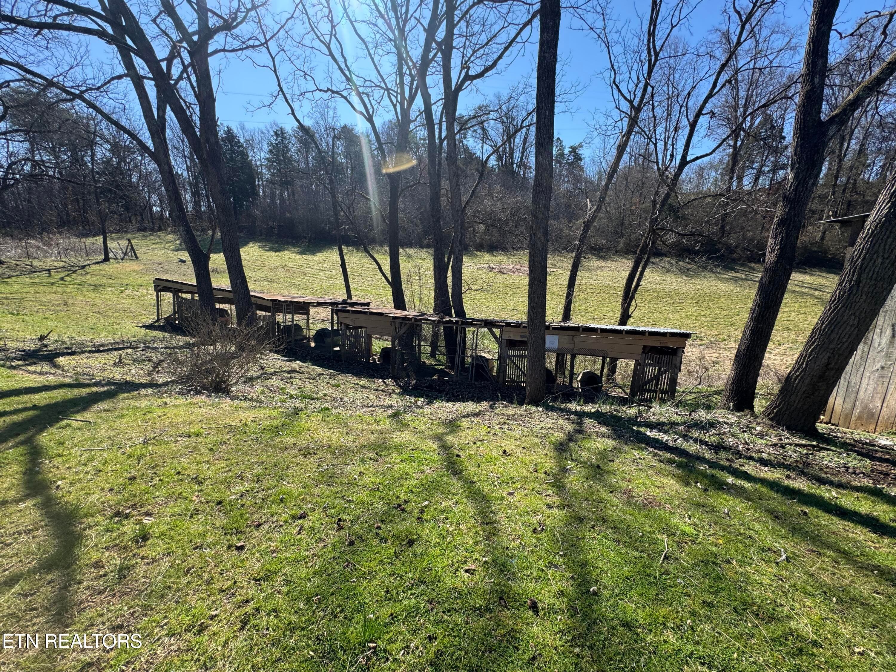 IMG_1665 - 340 Faithful Rd, Parrottsville, TN 37843