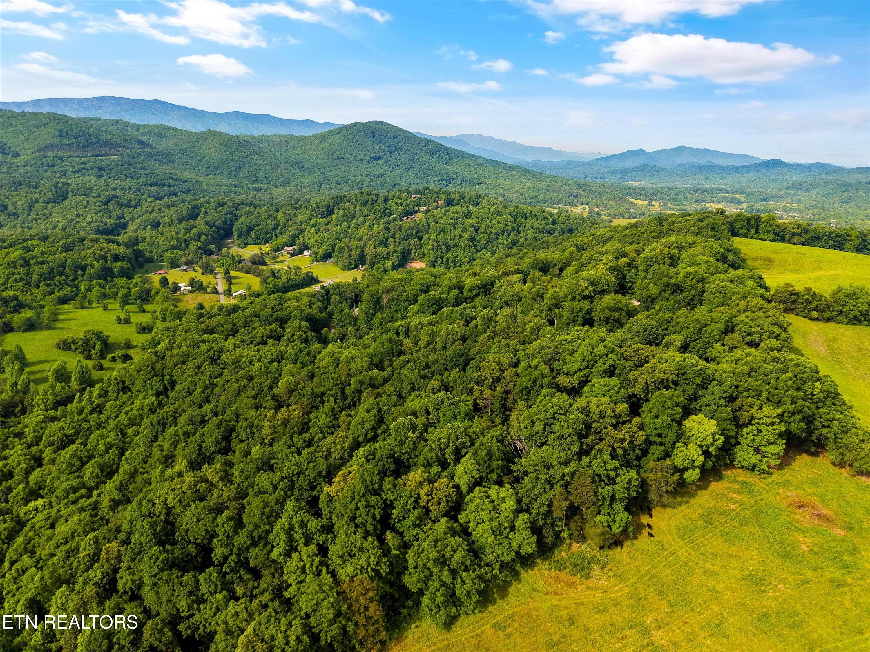 09-Country Mountain Rd 09 - Country Mtn Rd Lot 11, Cosby, TN 37722, Cosby