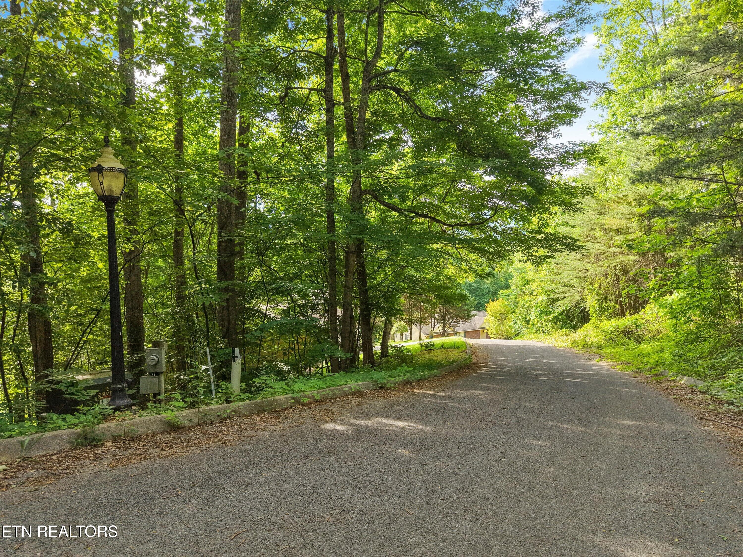 10-Country Mountain Rd 01 - Country Mtn Rd Lot 11, Cosby, TN 37722, Cosby
