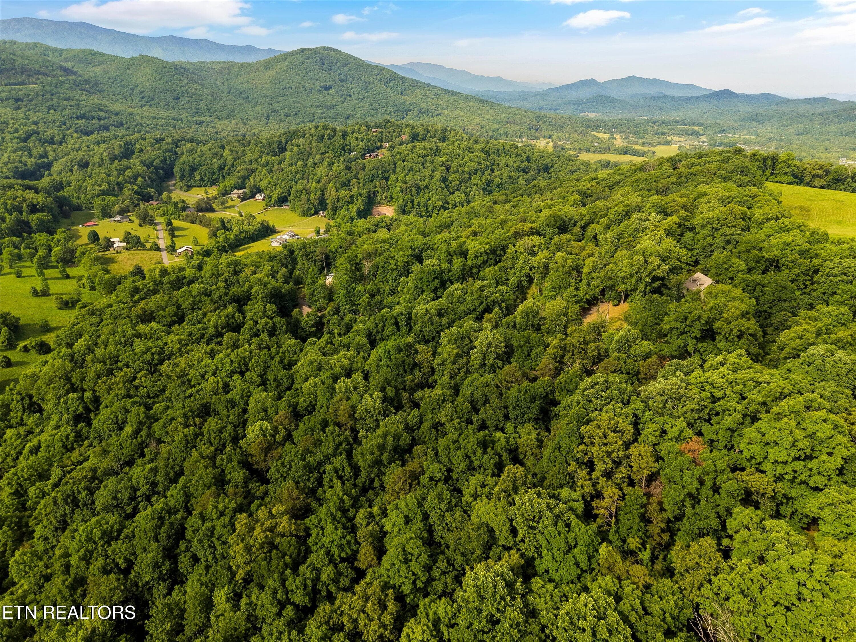 06-Country Mountain Rd 06 - Country Mtn Rd Lot 11, Cosby, TN 37722, Cosby
