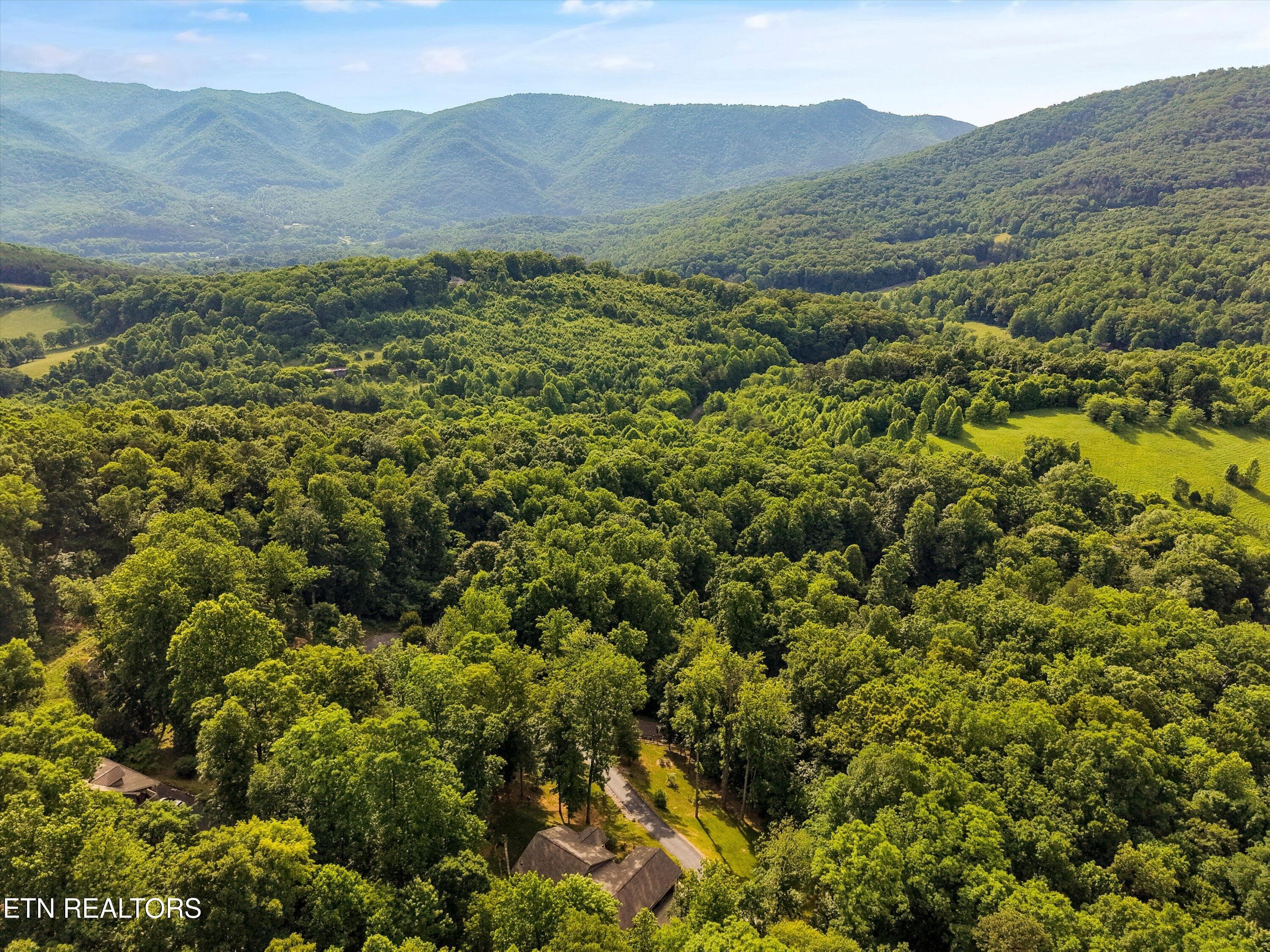 04-Country Mountain Rd 03 - Country Mtn Rd Lot 11, Cosby, TN 37722, Cosby