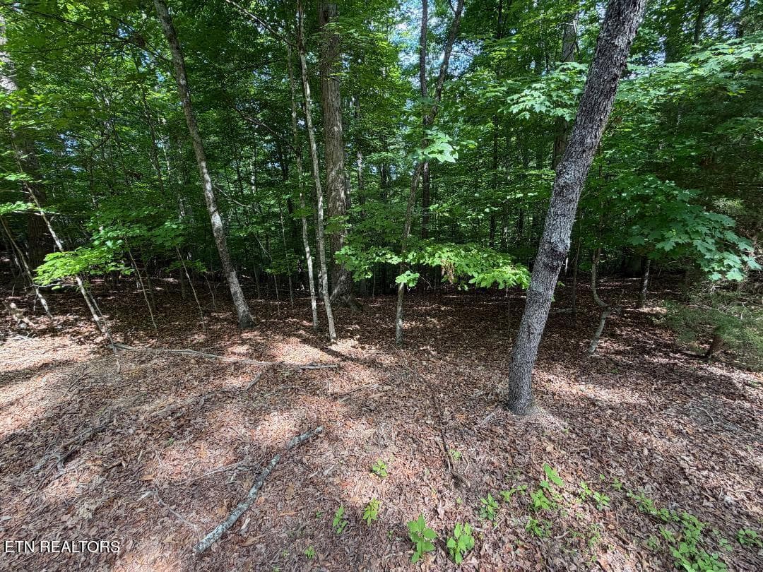 lot 3-3 - Beechwood Drive 003, Dandridge, TN 37725