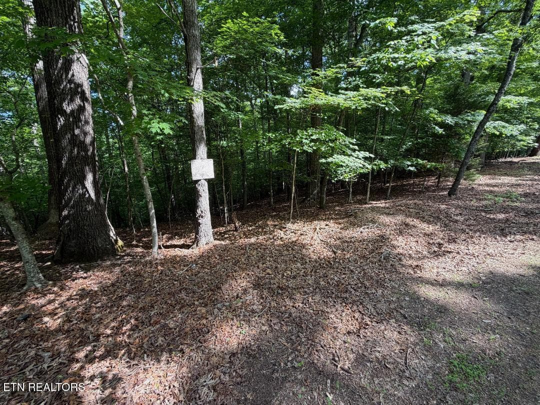 lot 3 -2 - Beechwood Drive 003, Dandridge, TN 37725