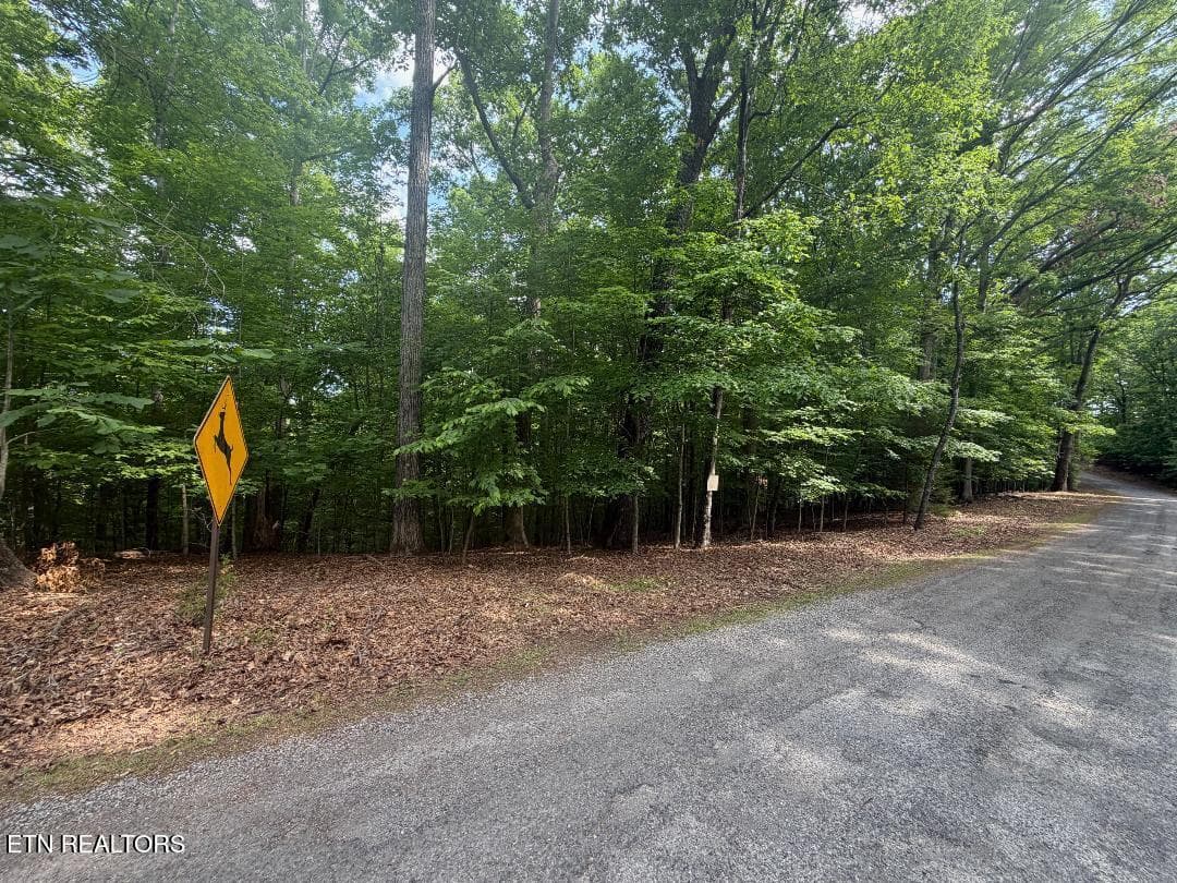Beechwood Drive 003, Dandridge, TN 37725