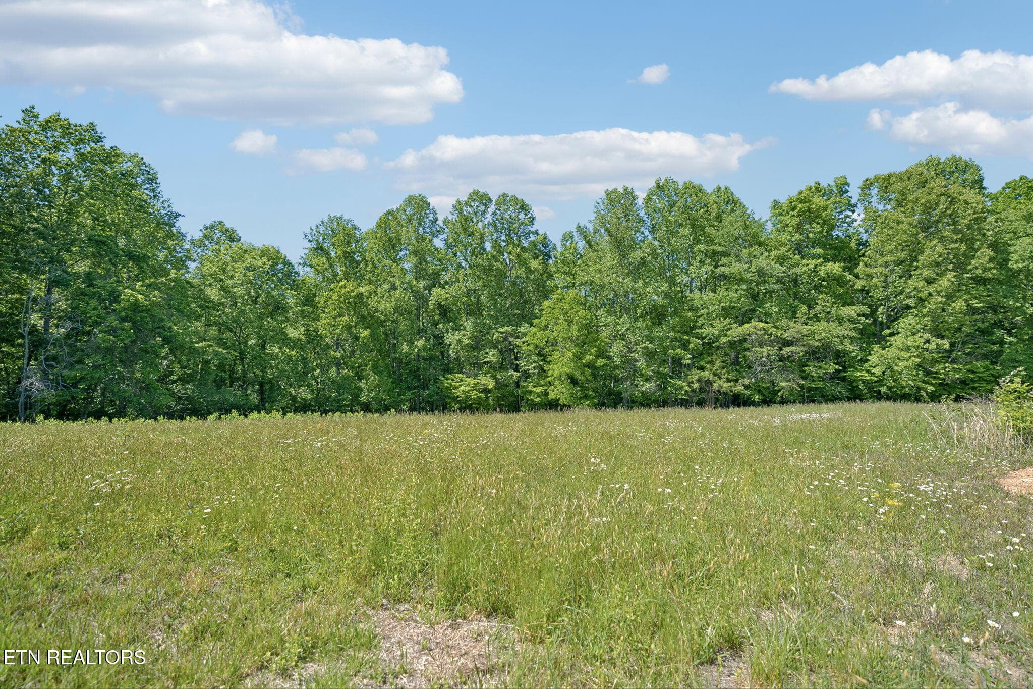 49-2245 Pinecrest Rd - 049 - 2245 Pinecrest Rd, Jacksboro, TN 37757