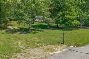 43 - 456 County Road 135, Riceville, TN 37370
