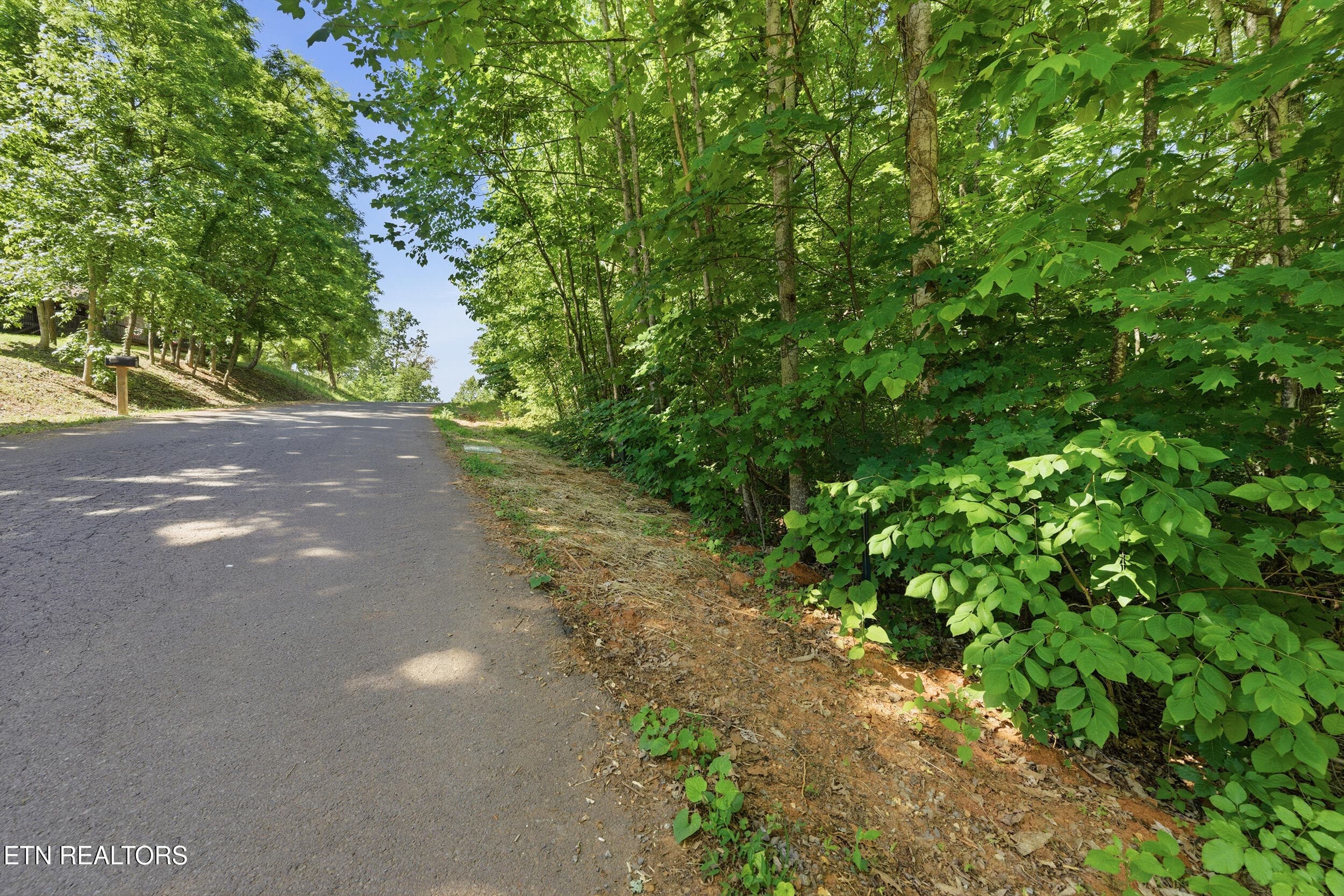 2_steviawy002 - Lots 32&33 Stevia Way, Cosby, TN 37722