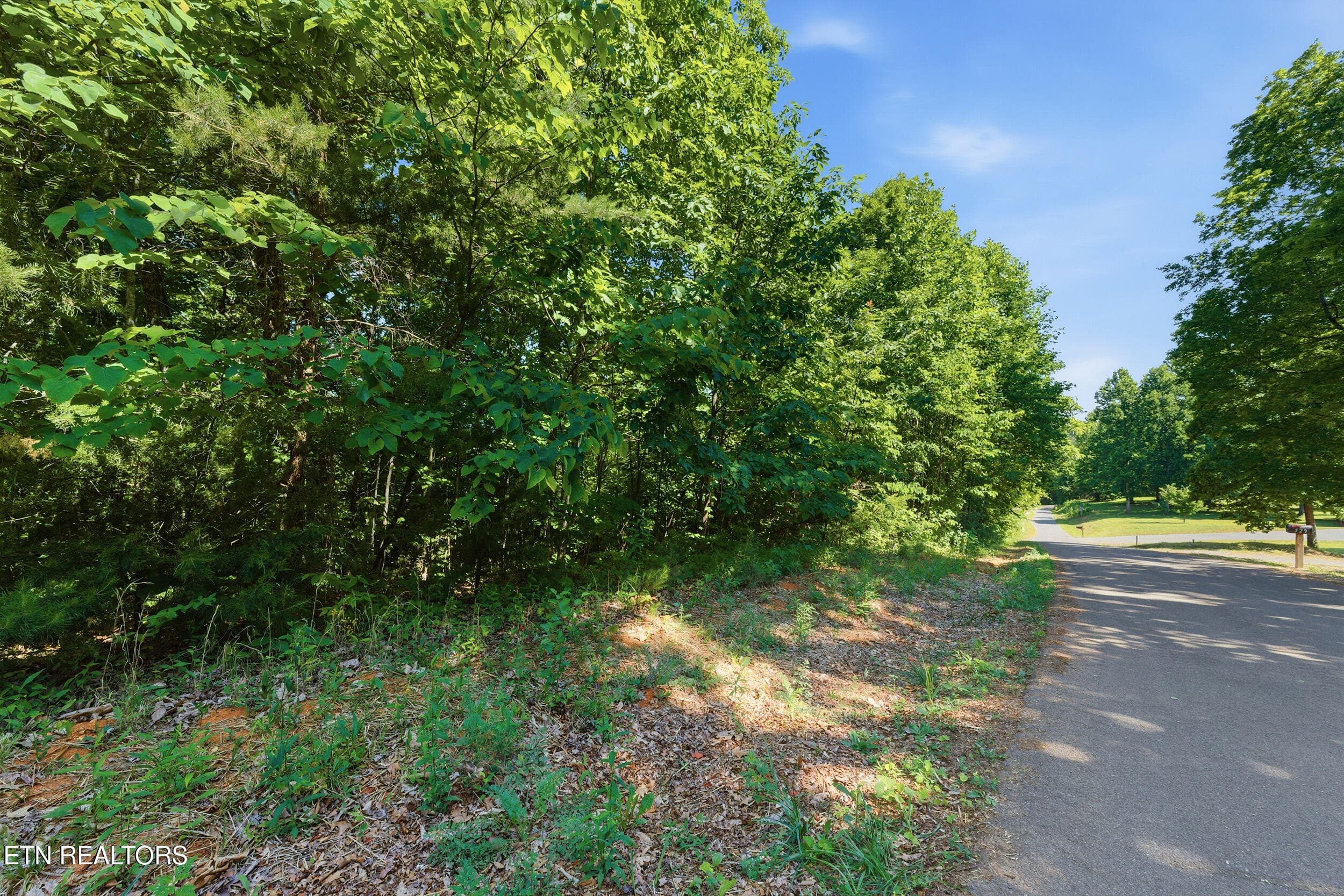 3_steviawy003 - Lots 32&33 Stevia Way, Cosby, TN 37722