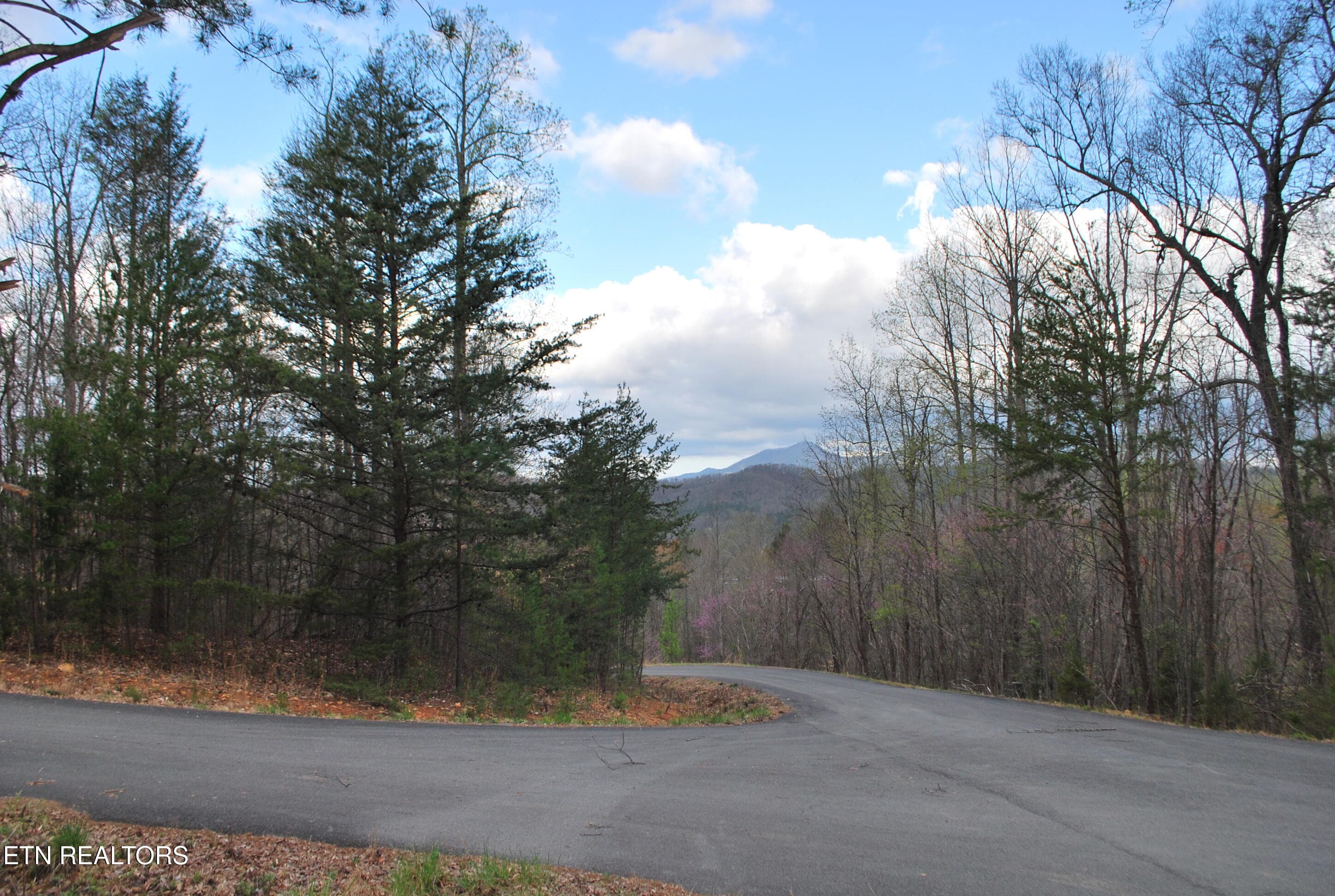 DSC_0019 - Lots 32&33 Stevia Way, Cosby, TN 37722