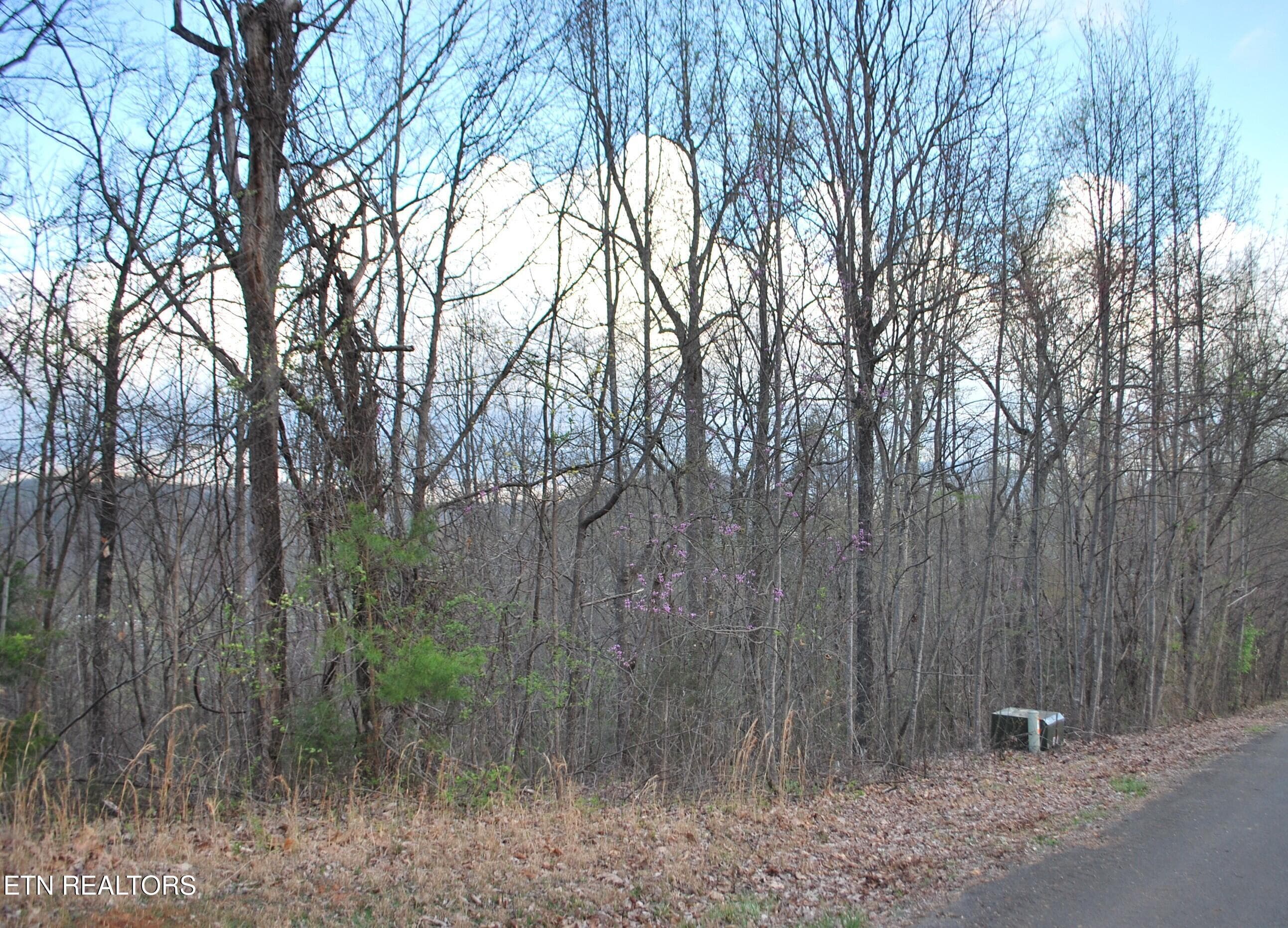 DSC_0100 - Lots 32&33 Stevia Way, Cosby, TN 37722