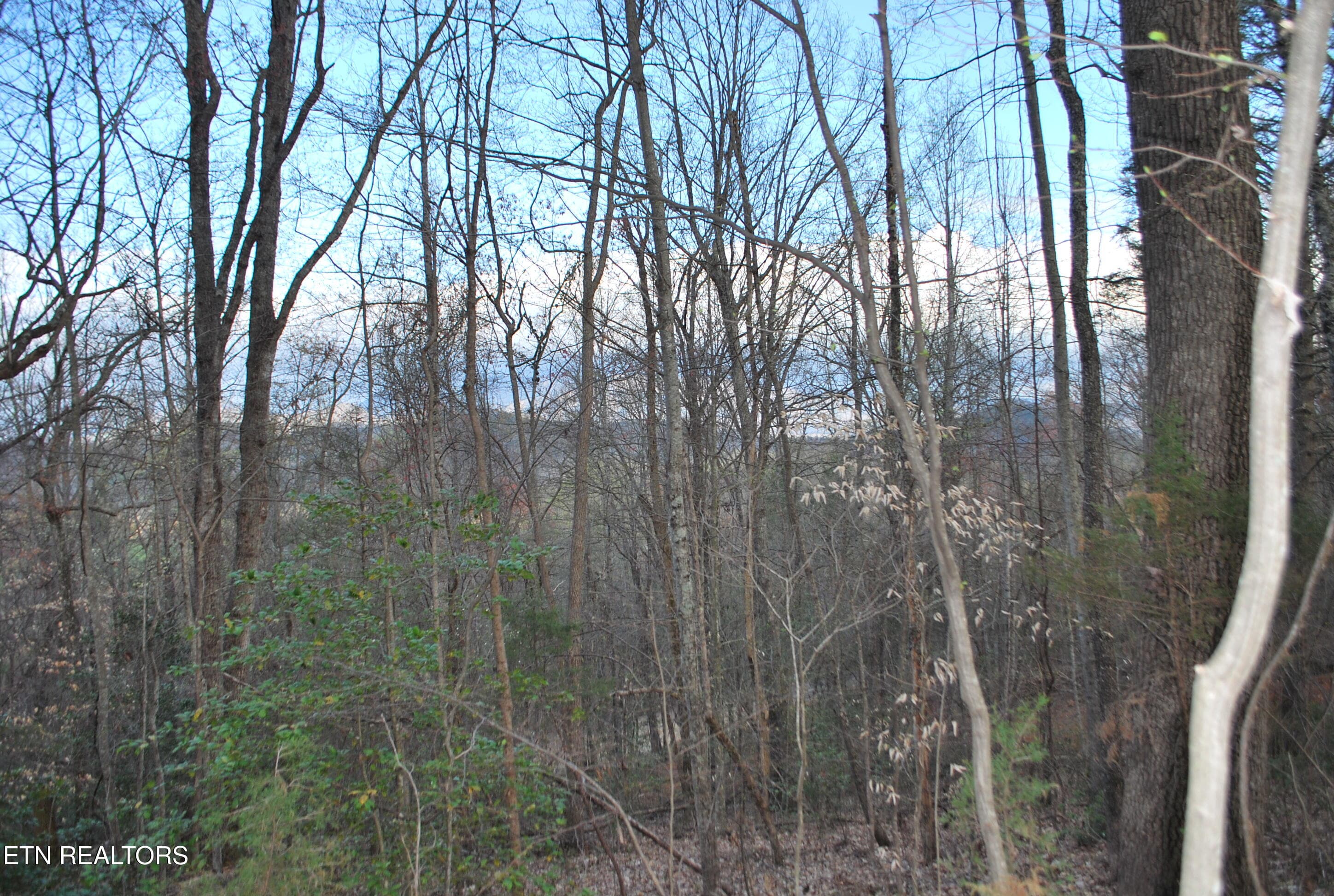 DSC_1001 - Lots 32&33 Stevia Way, Cosby, TN 37722