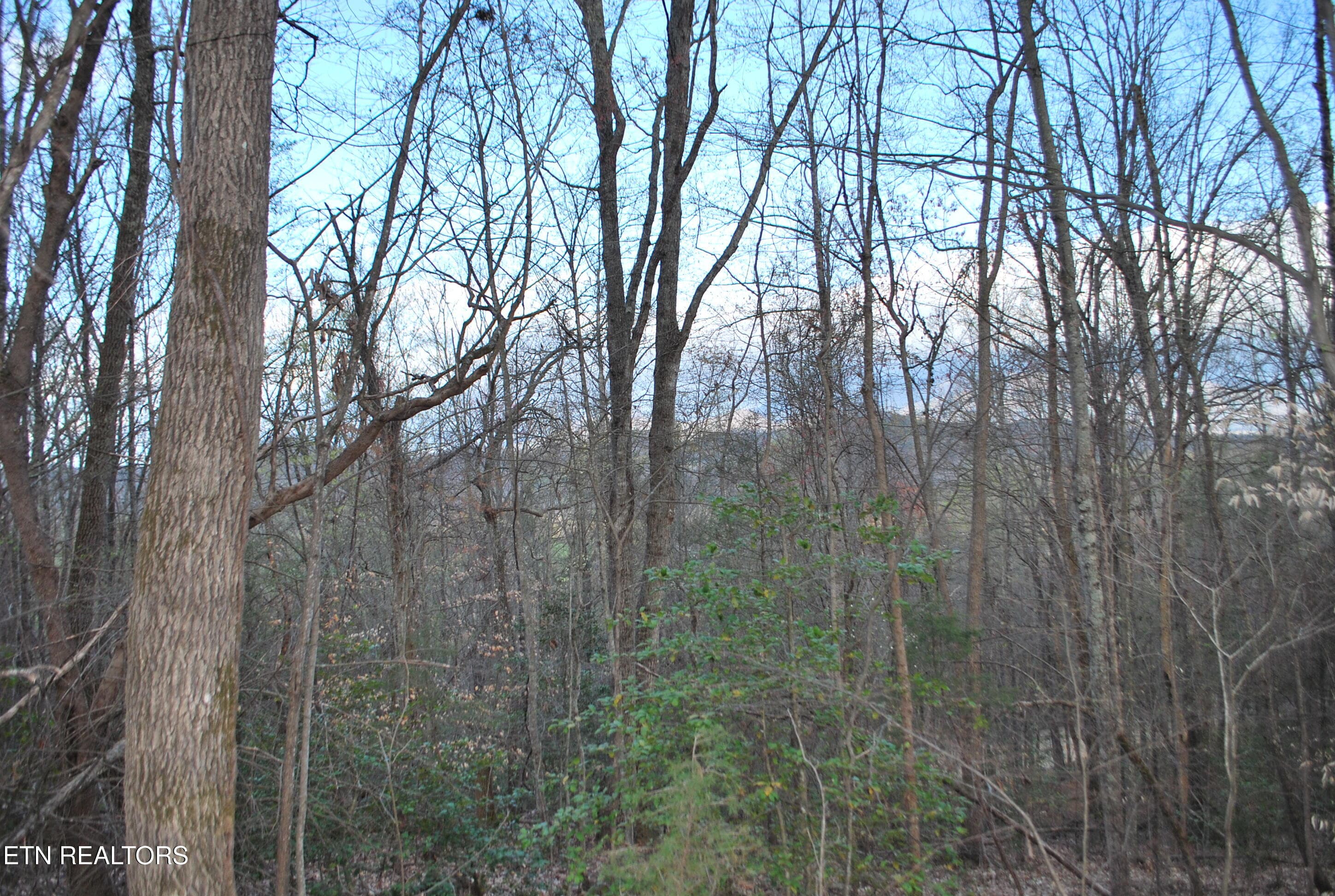 DSC_1002 - Lots 32&33 Stevia Way, Cosby, TN 37722
