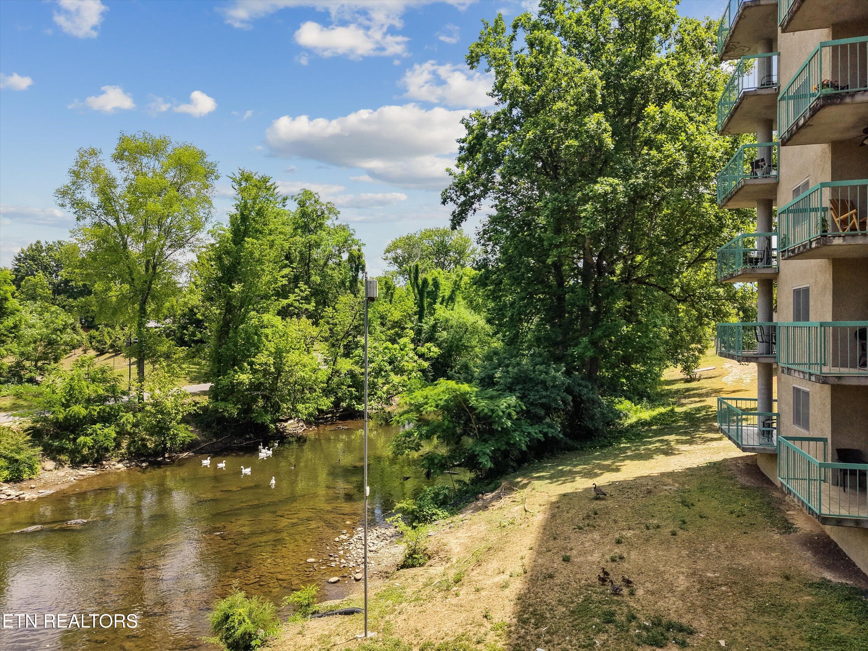 27-3215 N River Rd Unit 502 30 - 3215 N River Rd 502, Pigeon Forge, TN 37863, Pigeon Forge