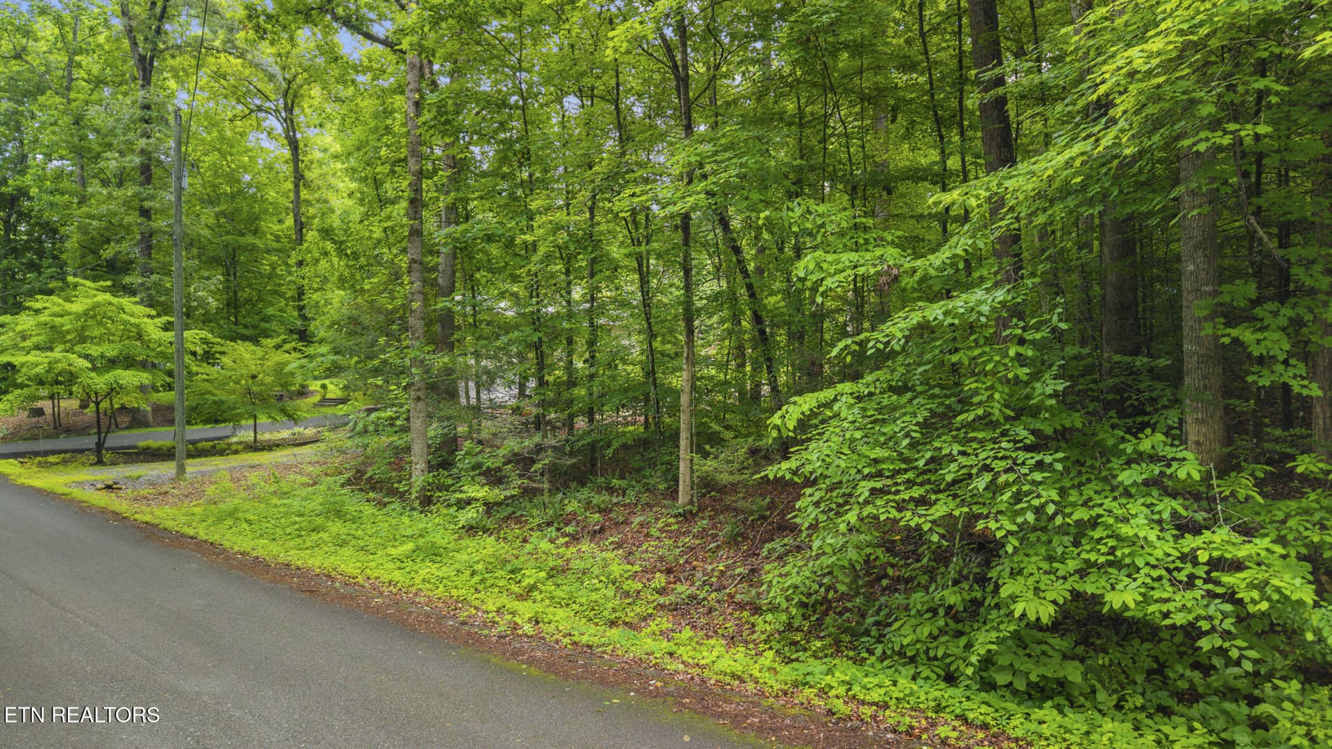 Peach Tree St, Sevierville, TN 37862