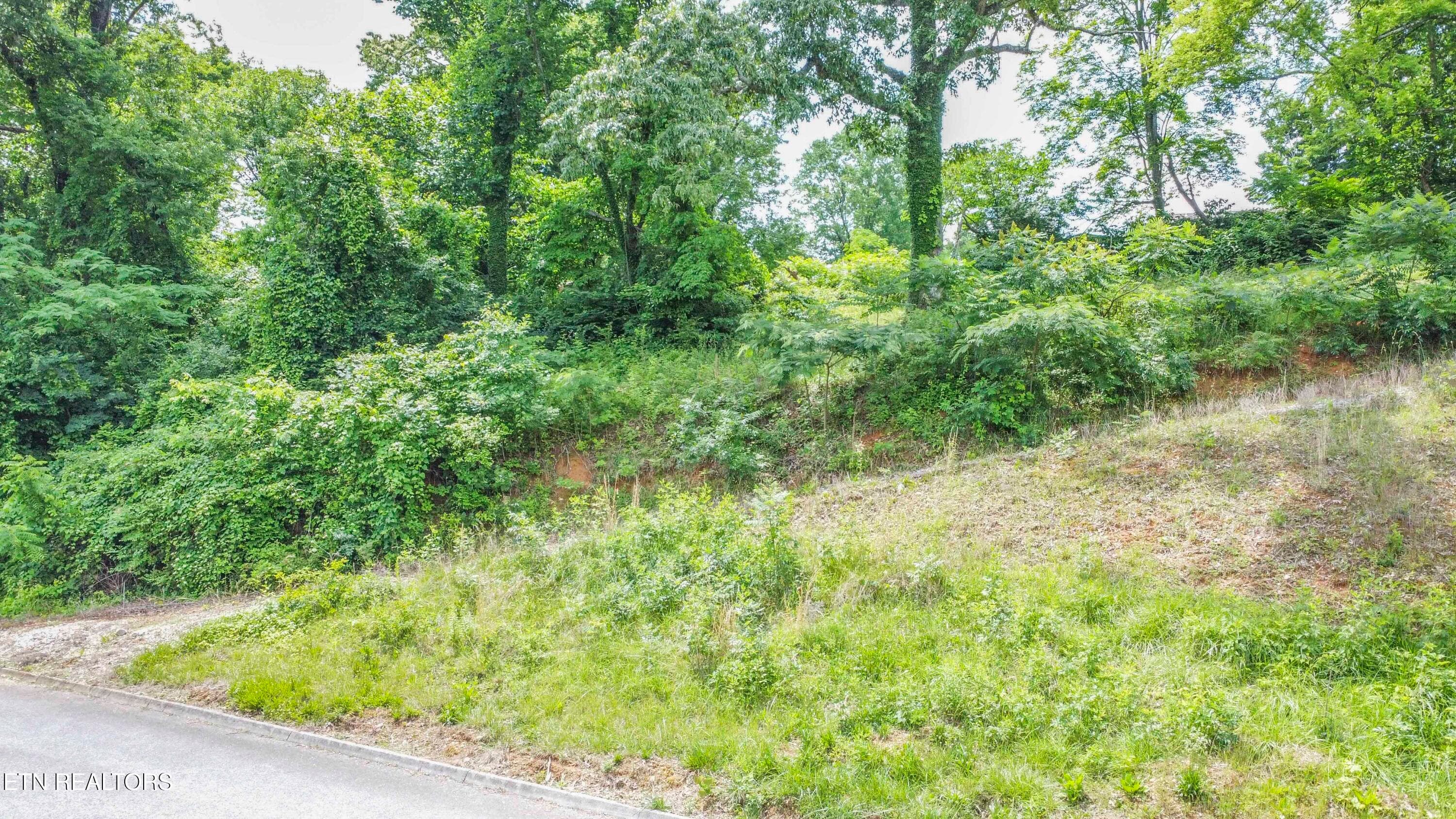 drone 14_1 - 524 Westbury Drive, Clinton, TN 37716