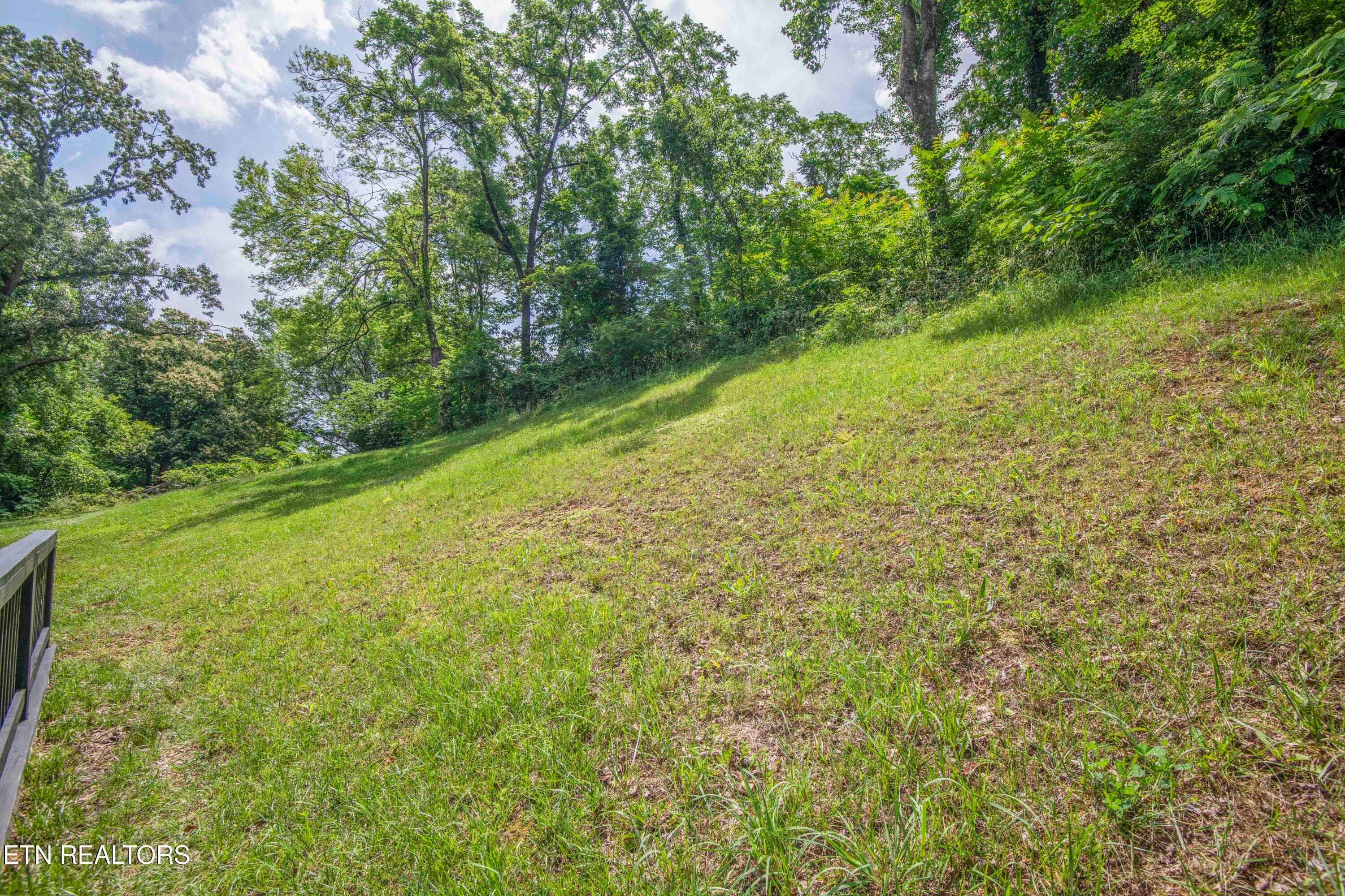 yard 6_1 - 524 Westbury Drive, Clinton, TN 37716