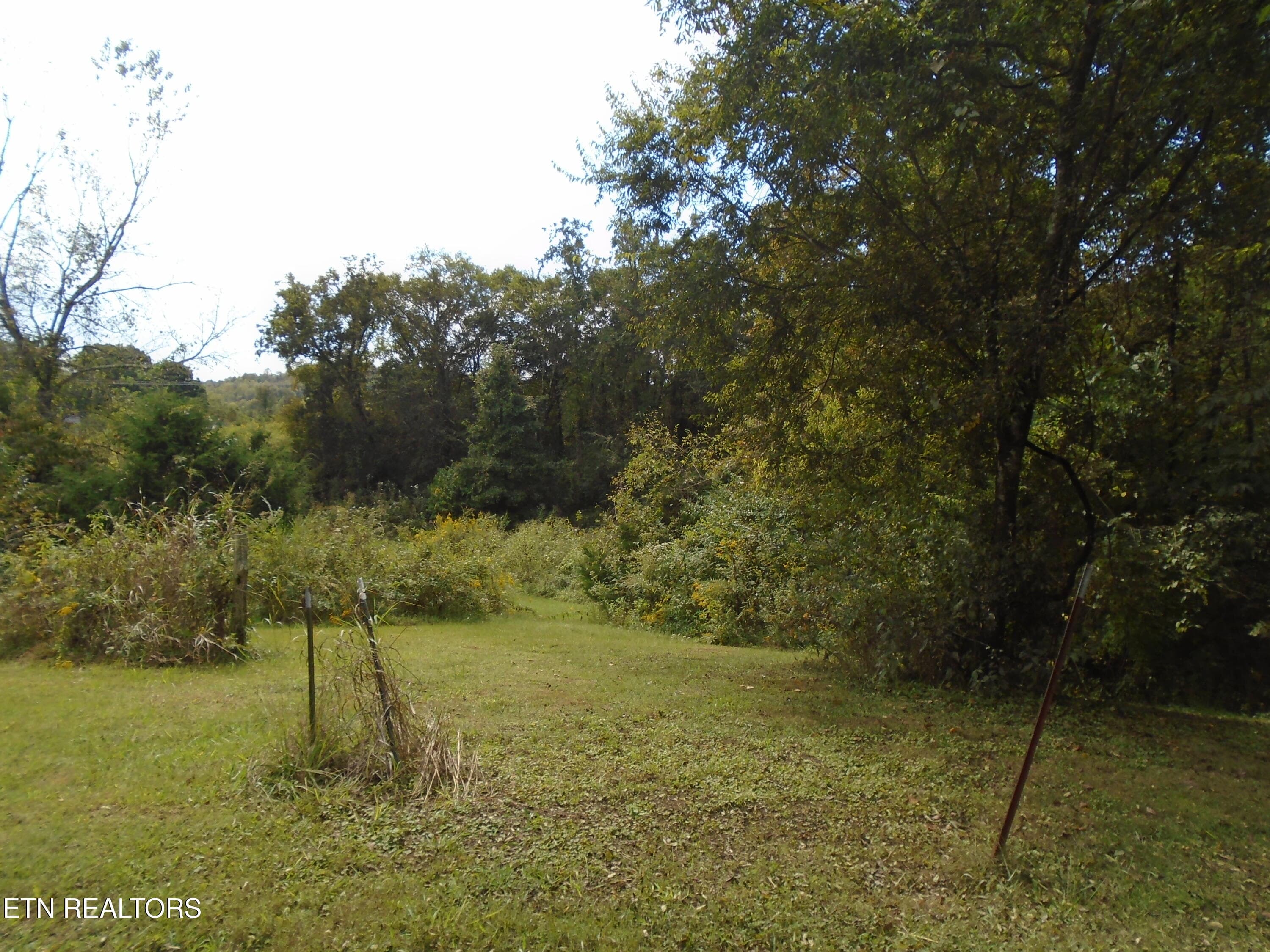 DSC00631 - 212 Dunlap Hollow Rd, Friendsville, TN 37737, Friendsville