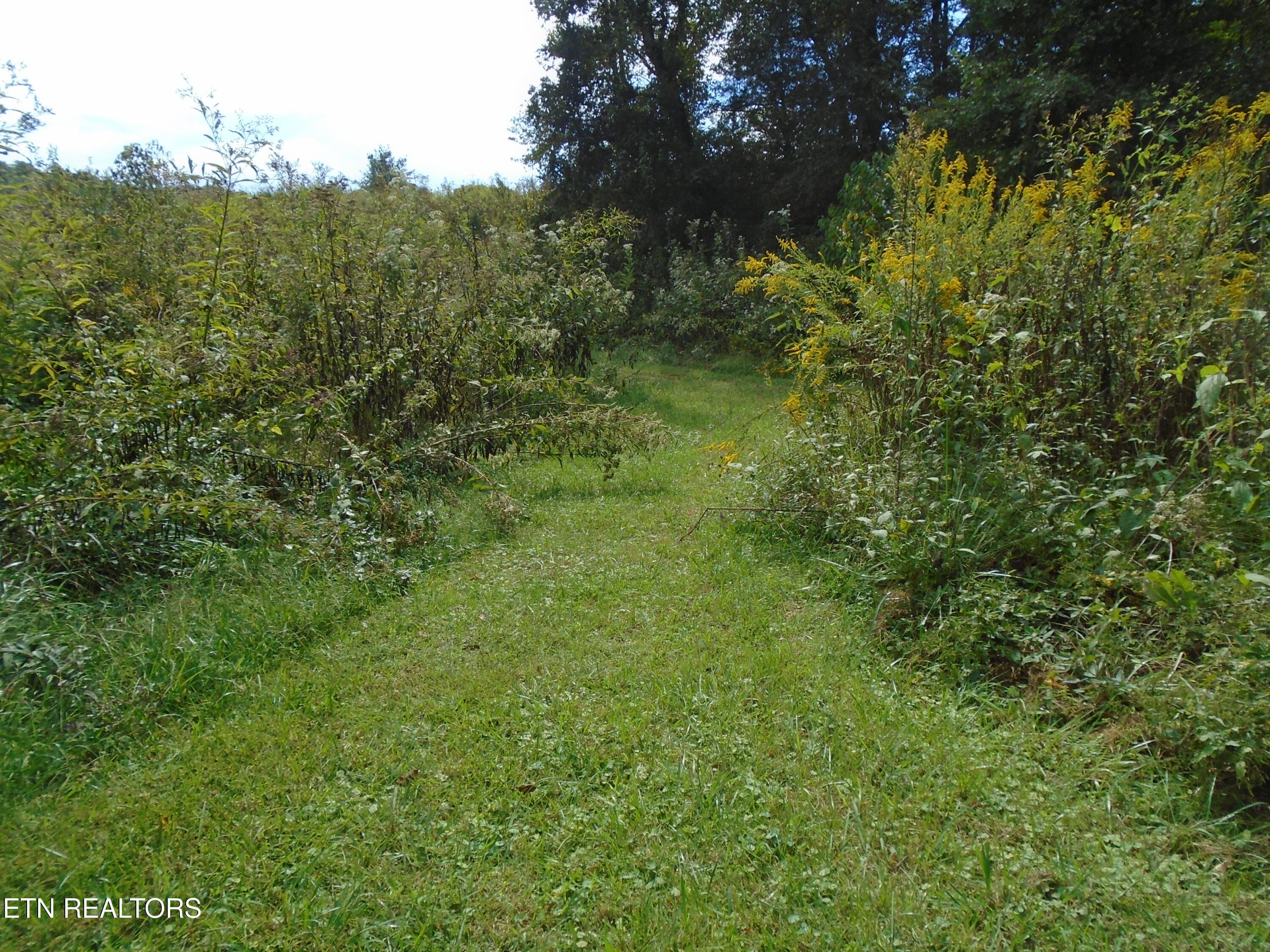 DSC00632 - 212 Dunlap Hollow Rd, Friendsville, TN 37737, Friendsville