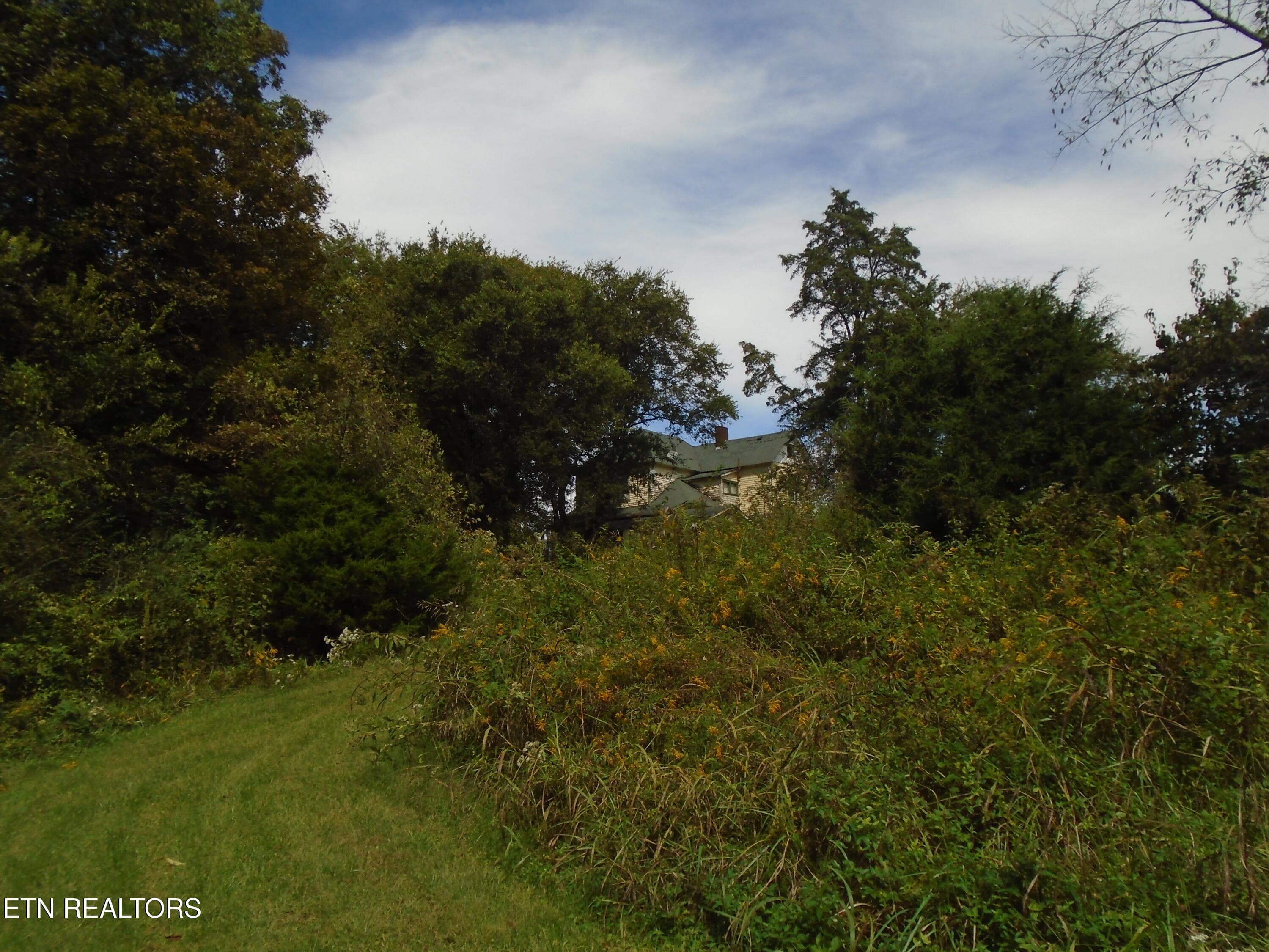 DSC00633 - 212 Dunlap Hollow Rd, Friendsville, TN 37737, Friendsville