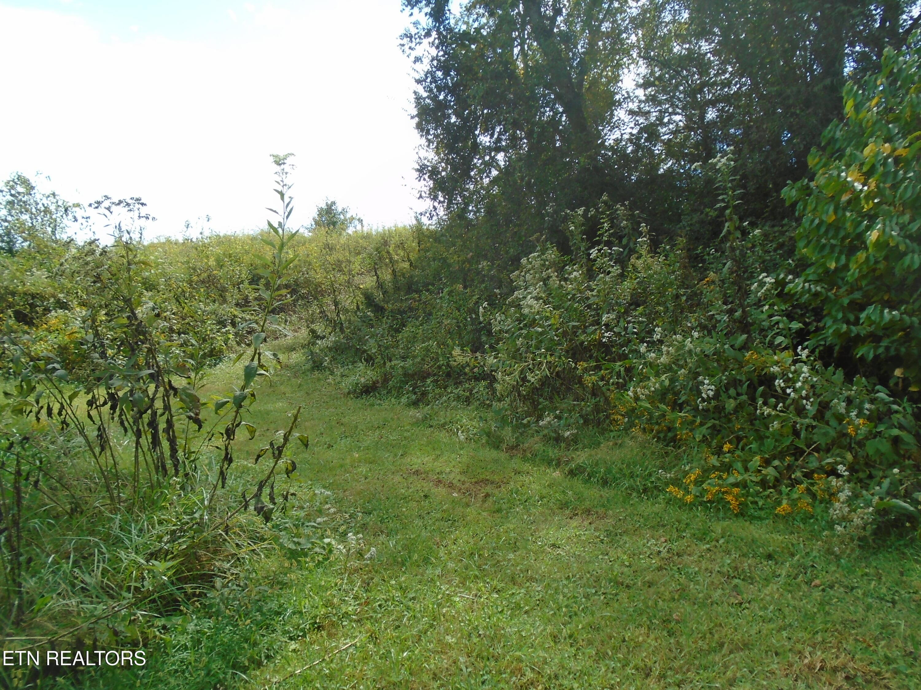 DSC00634 - 212 Dunlap Hollow Rd, Friendsville, TN 37737, Friendsville