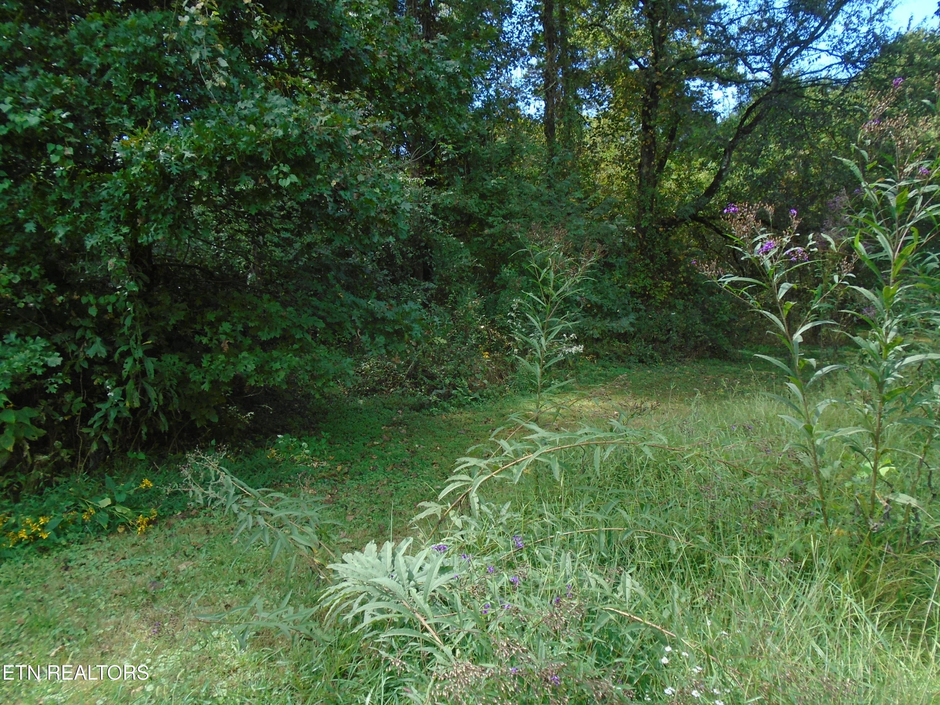 DSC00635 - 212 Dunlap Hollow Rd, Friendsville, TN 37737, Friendsville
