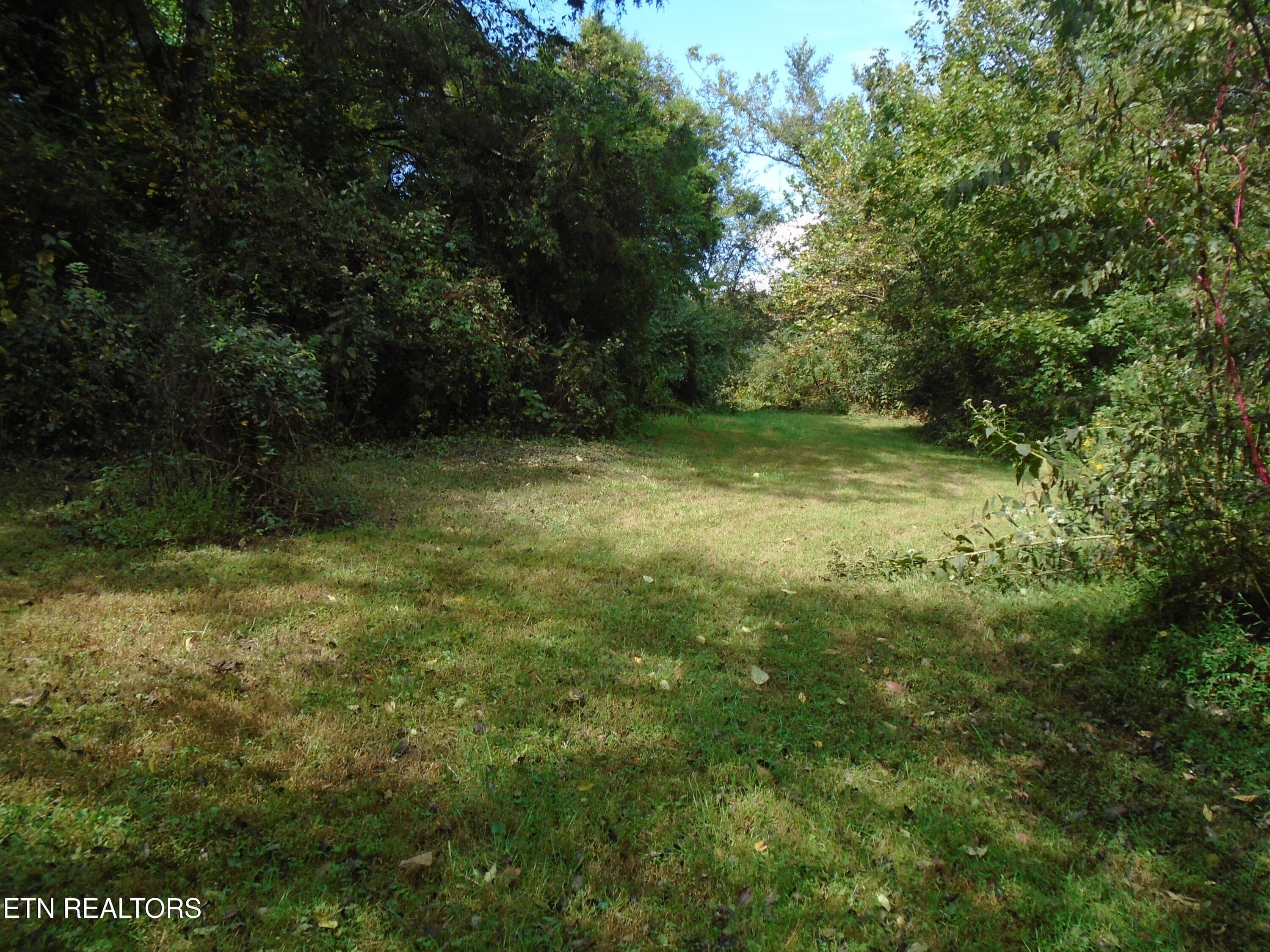DSC00636 - 212 Dunlap Hollow Rd, Friendsville, TN 37737, Friendsville