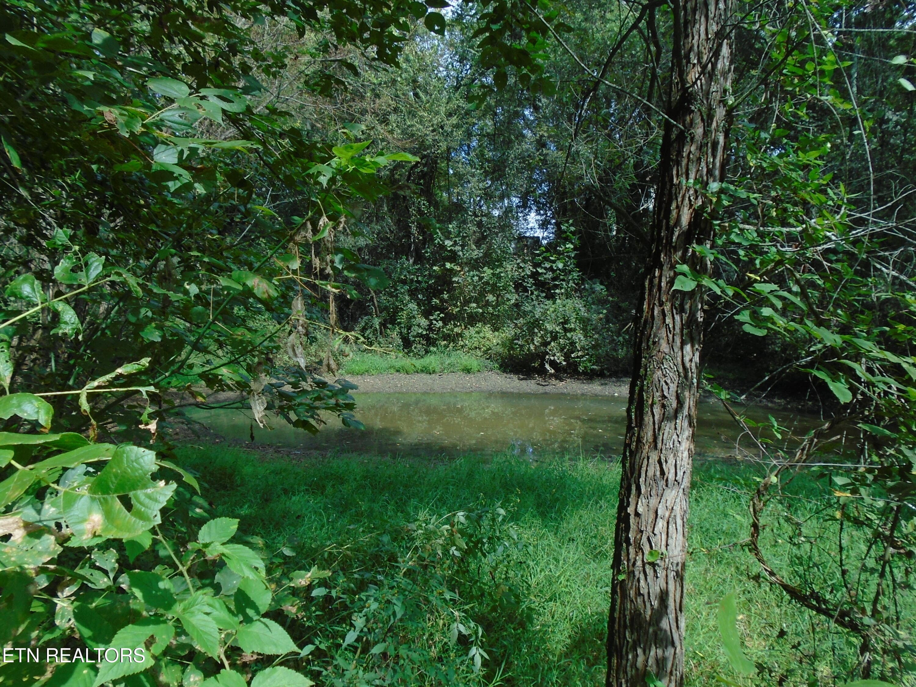 DSC00637 - 212 Dunlap Hollow Rd, Friendsville, TN 37737, Friendsville