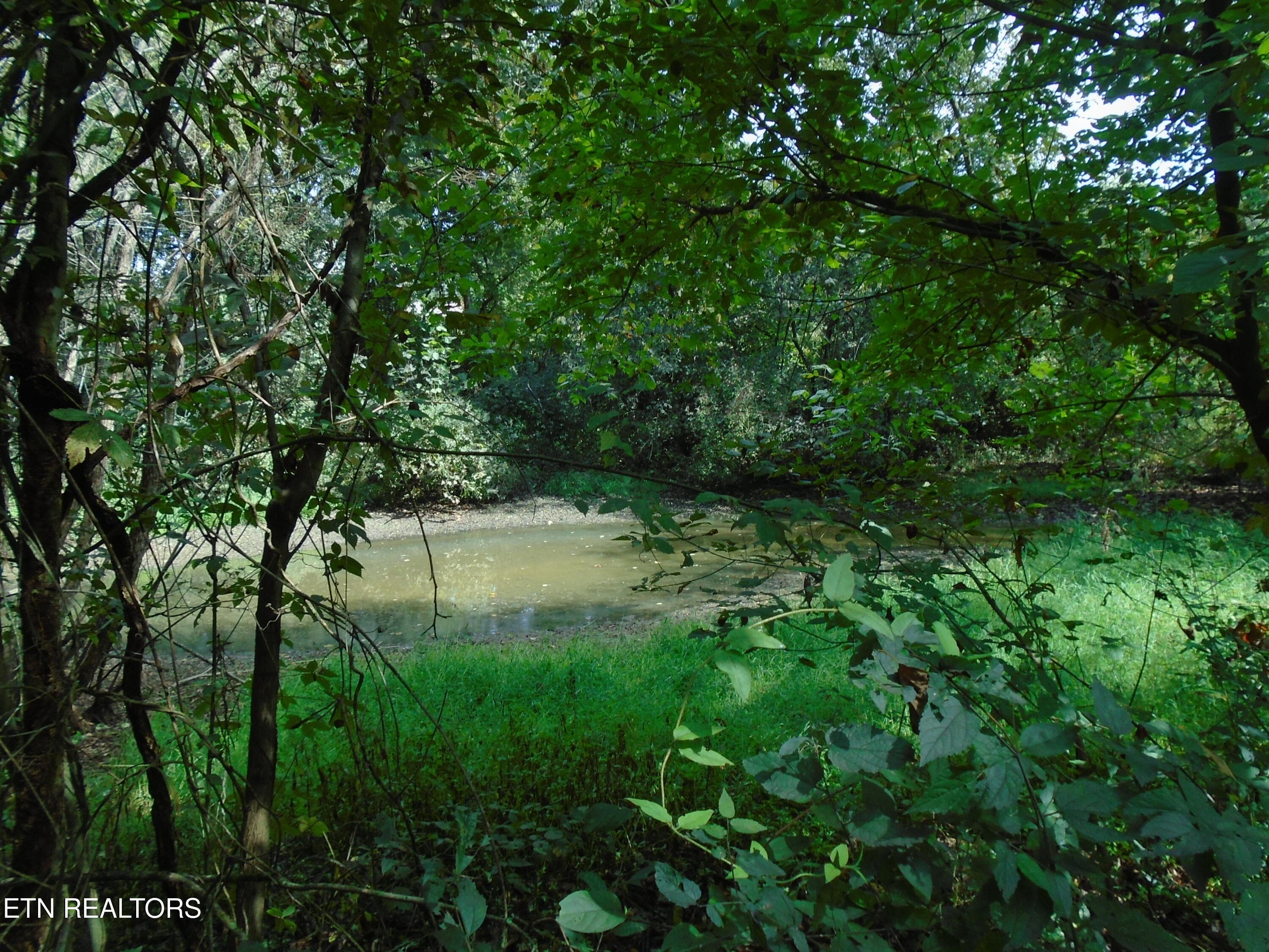 DSC00638 - 212 Dunlap Hollow Rd, Friendsville, TN 37737, Friendsville