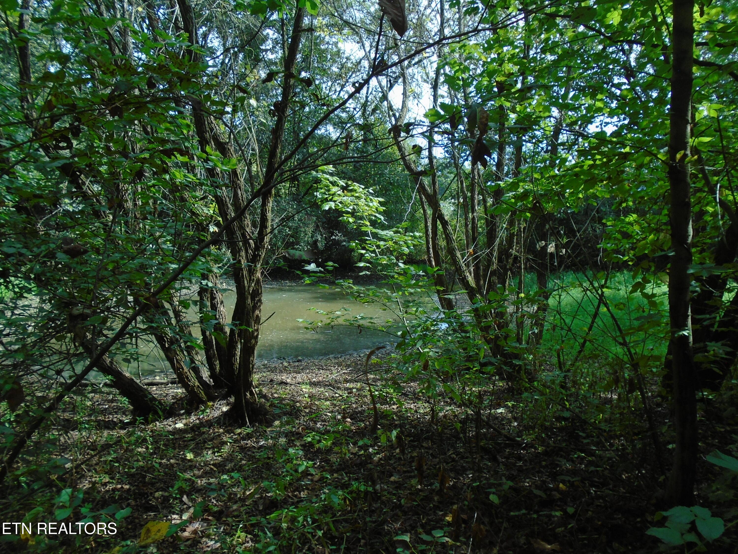 DSC00639 - 212 Dunlap Hollow Rd, Friendsville, TN 37737, Friendsville