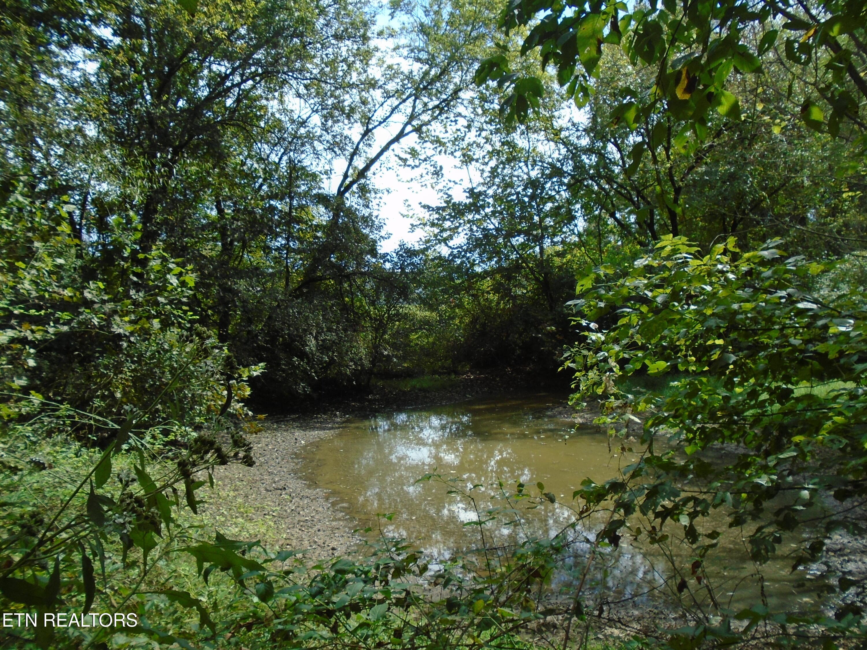 DSC00640 - 212 Dunlap Hollow Rd, Friendsville, TN 37737, Friendsville