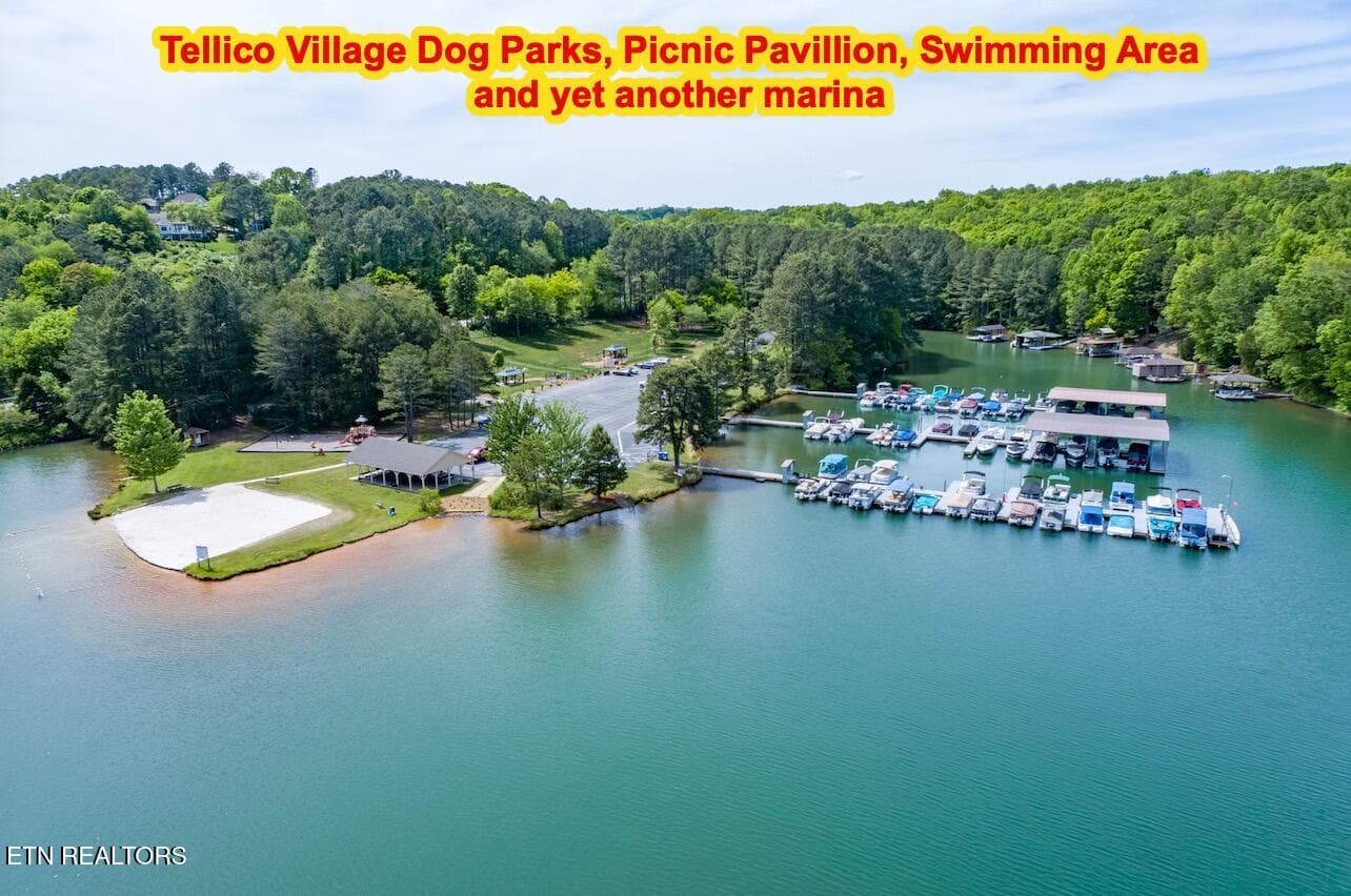 TV dog park and swim area - 213 Gado Lane, Loudon, TN 37774