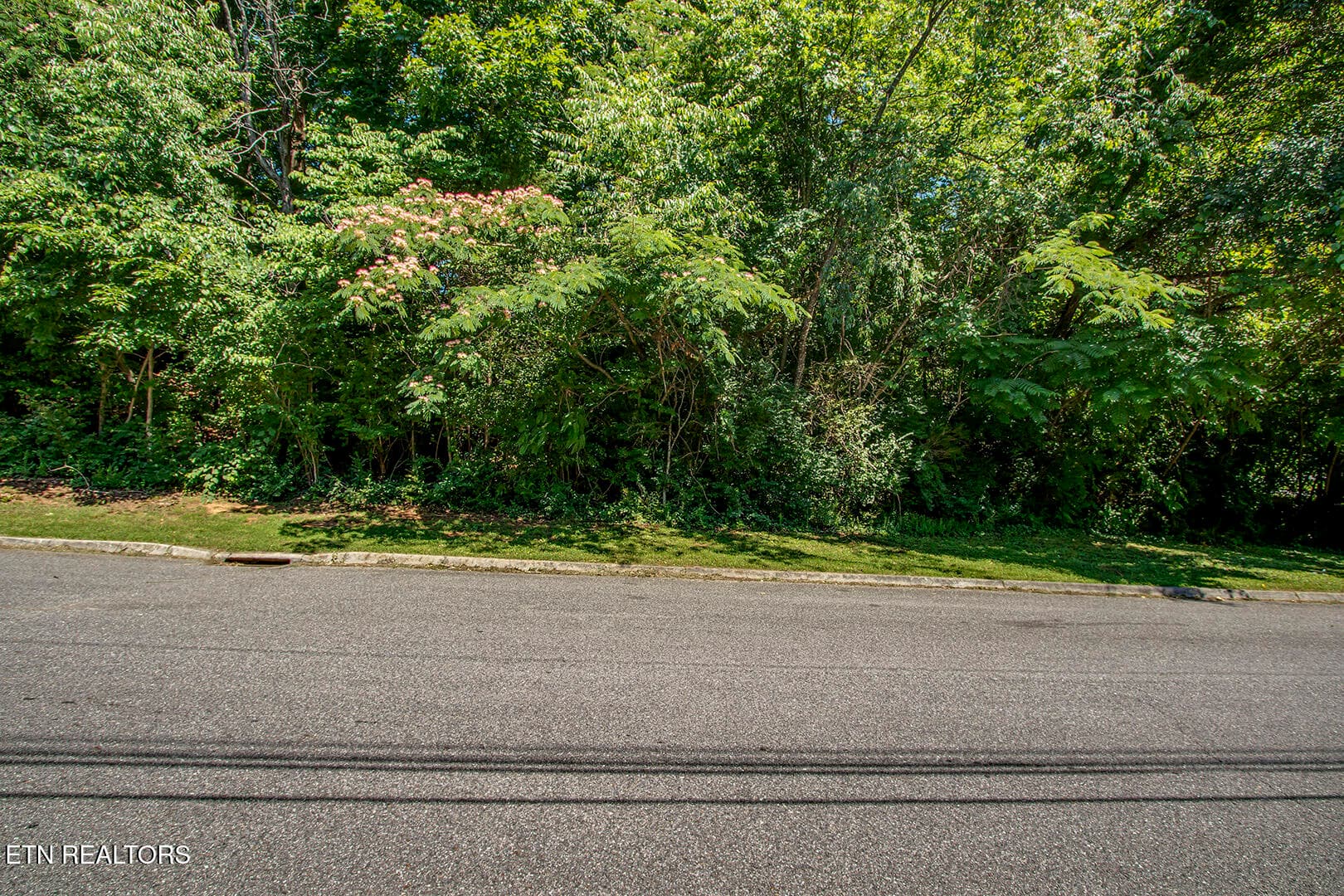 02_WilkesboroLane_5804_Street_N-NW - 0 Wilkesboro Lane, Knoxville, TN 37912, Knoxville