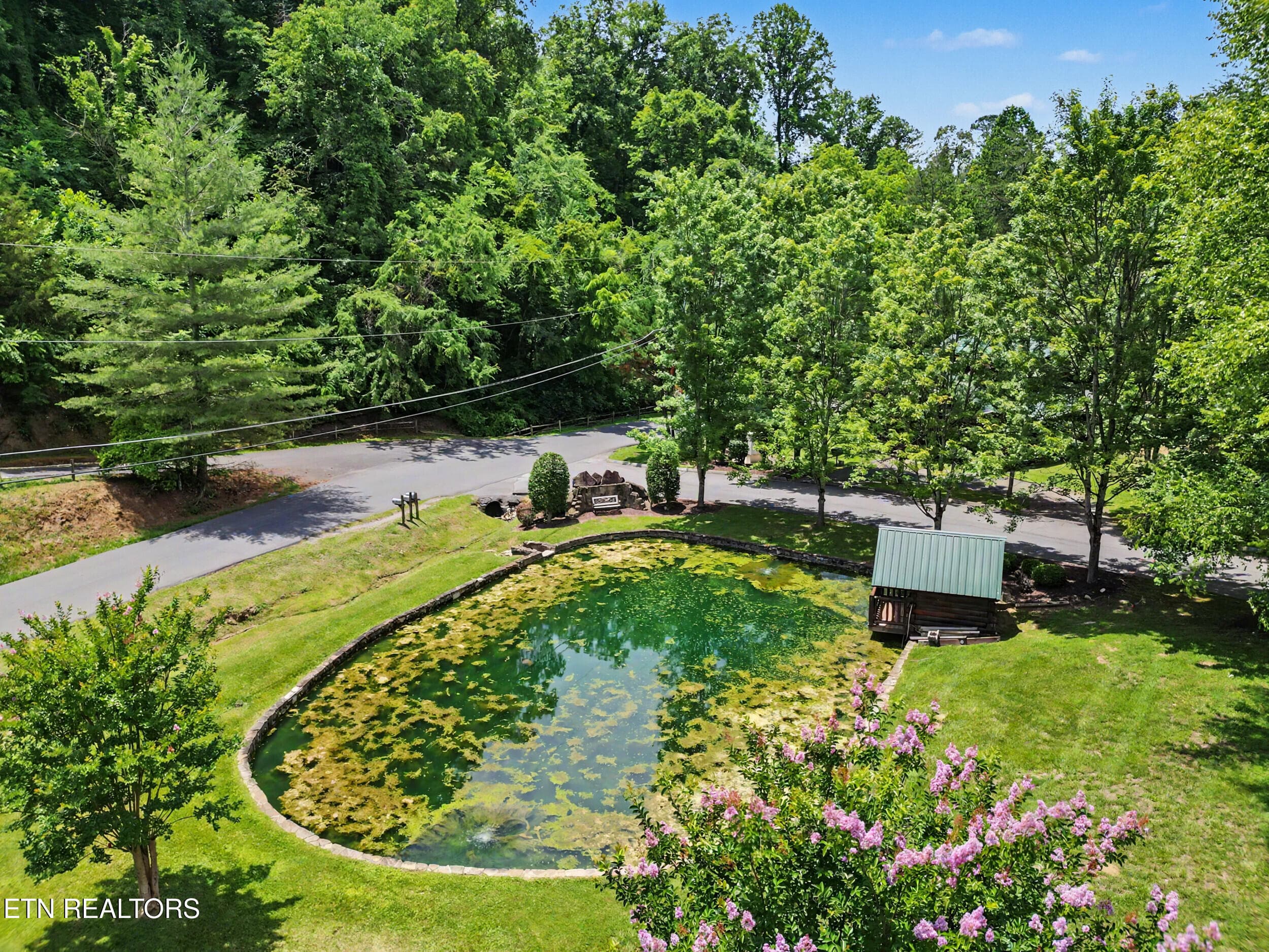 Fishing Pond - 1629 Little Cabin Loop, Pigeon Forge, TN 37862, Pigeon Forge