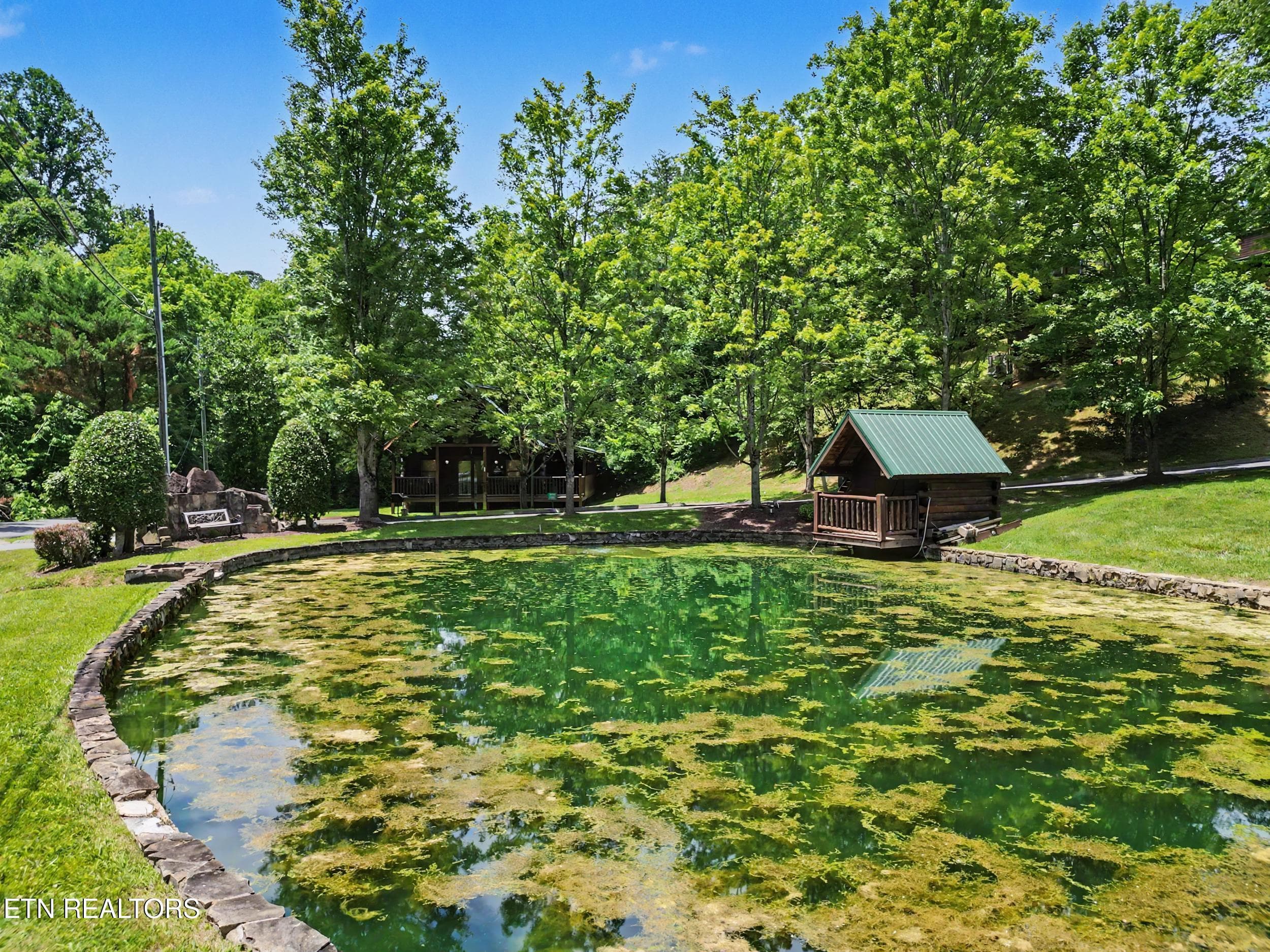 Catch and Release Fishing Pond - 1629 Little Cabin Loop, Pigeon Forge, TN 37862, Pigeon Forge