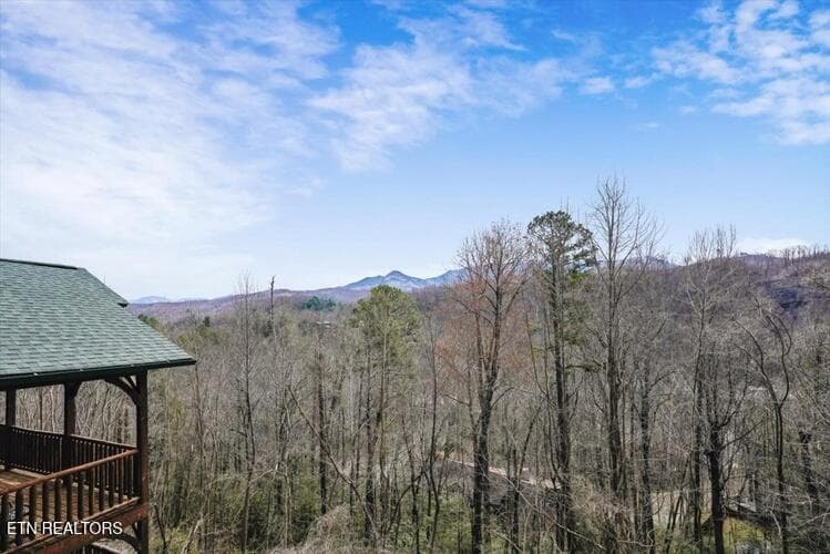 39.1 - 832 Resort Way, Gatlinburg, TN 37738, Gatlinburg