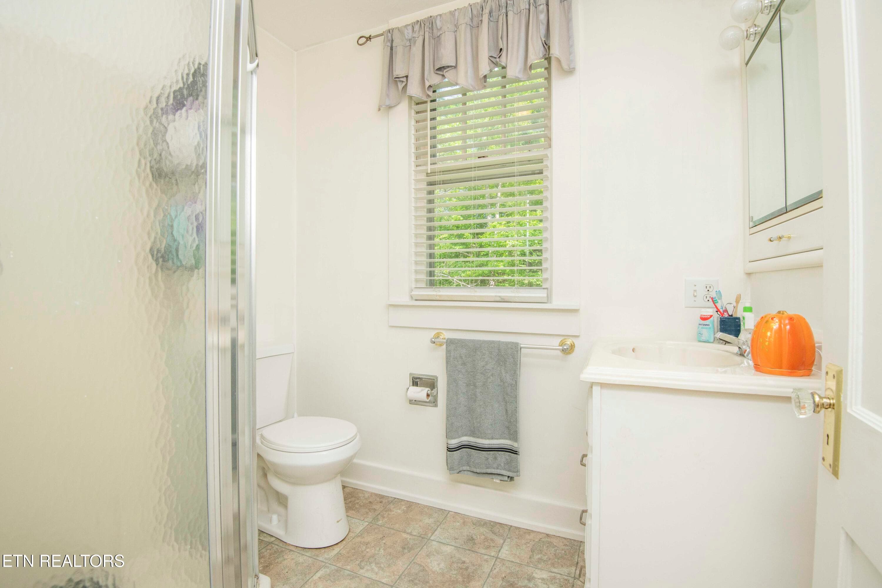 bath_1 - 17761 Alberta St, Oneida, TN 37841