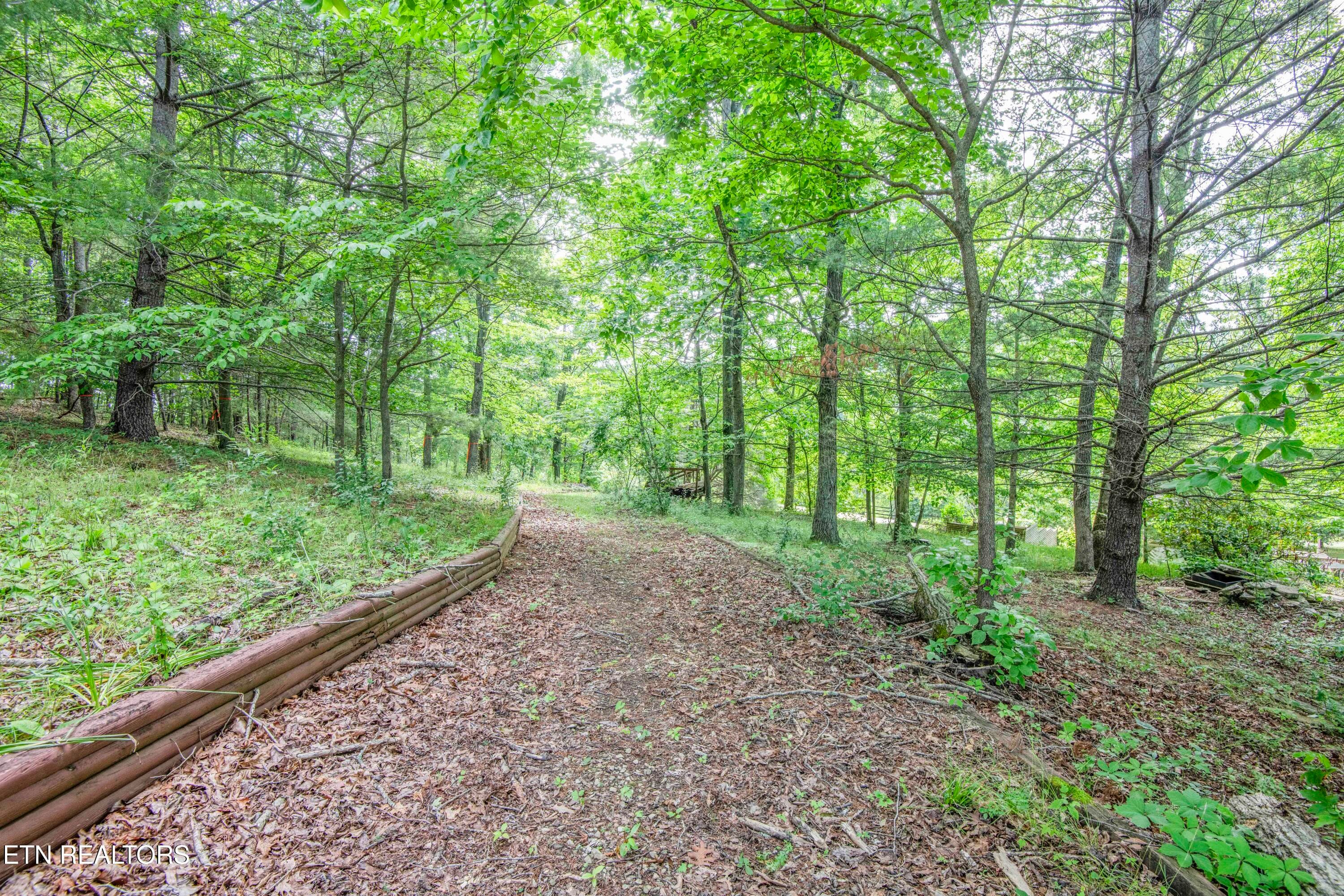 yard 6_1 - 17761 Alberta St, Oneida, TN 37841