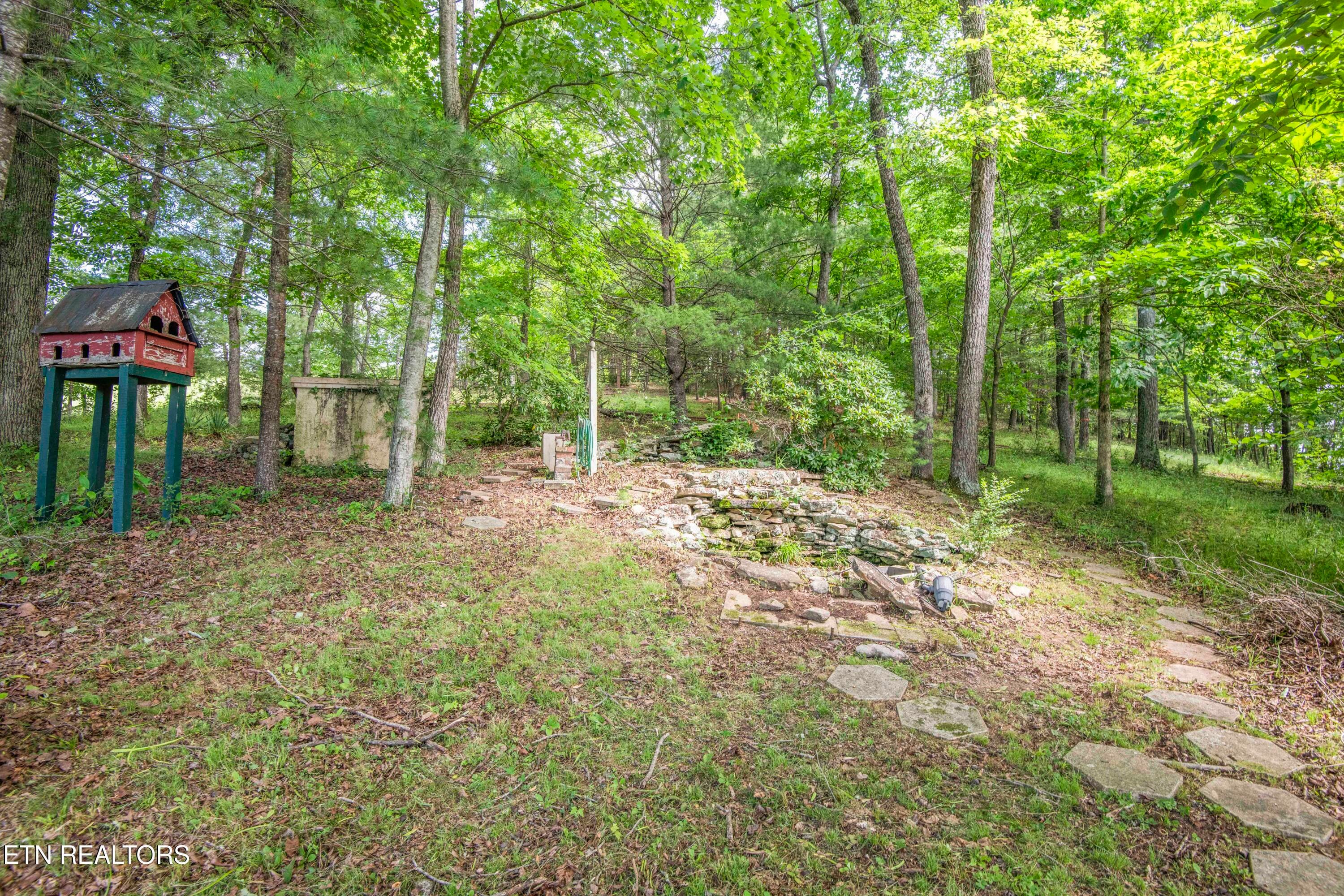 yard 10_1 - 17761 Alberta St, Oneida, TN 37841