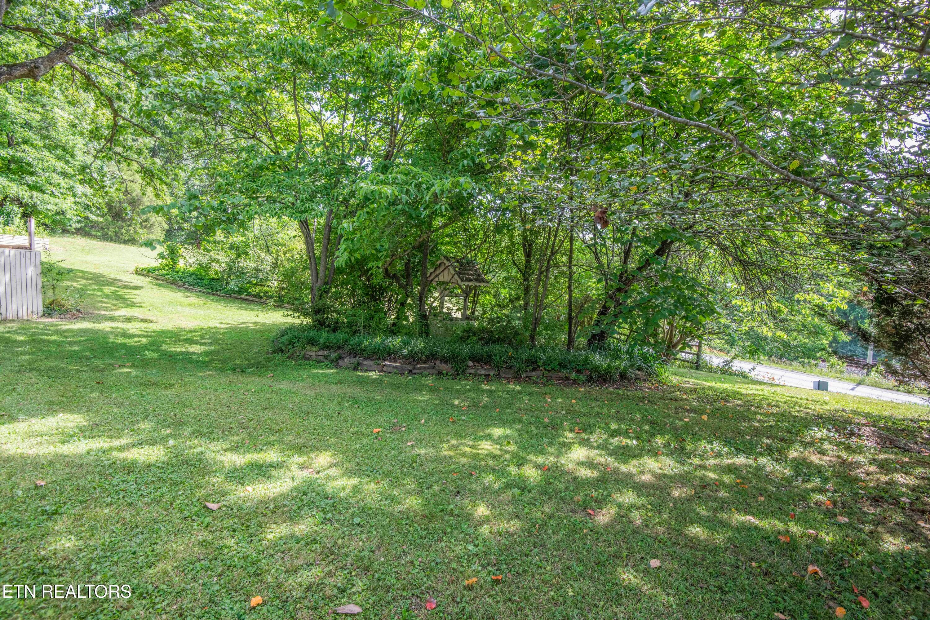 yard 20_1 - Copy - 17761 Alberta St, Oneida, TN 37841