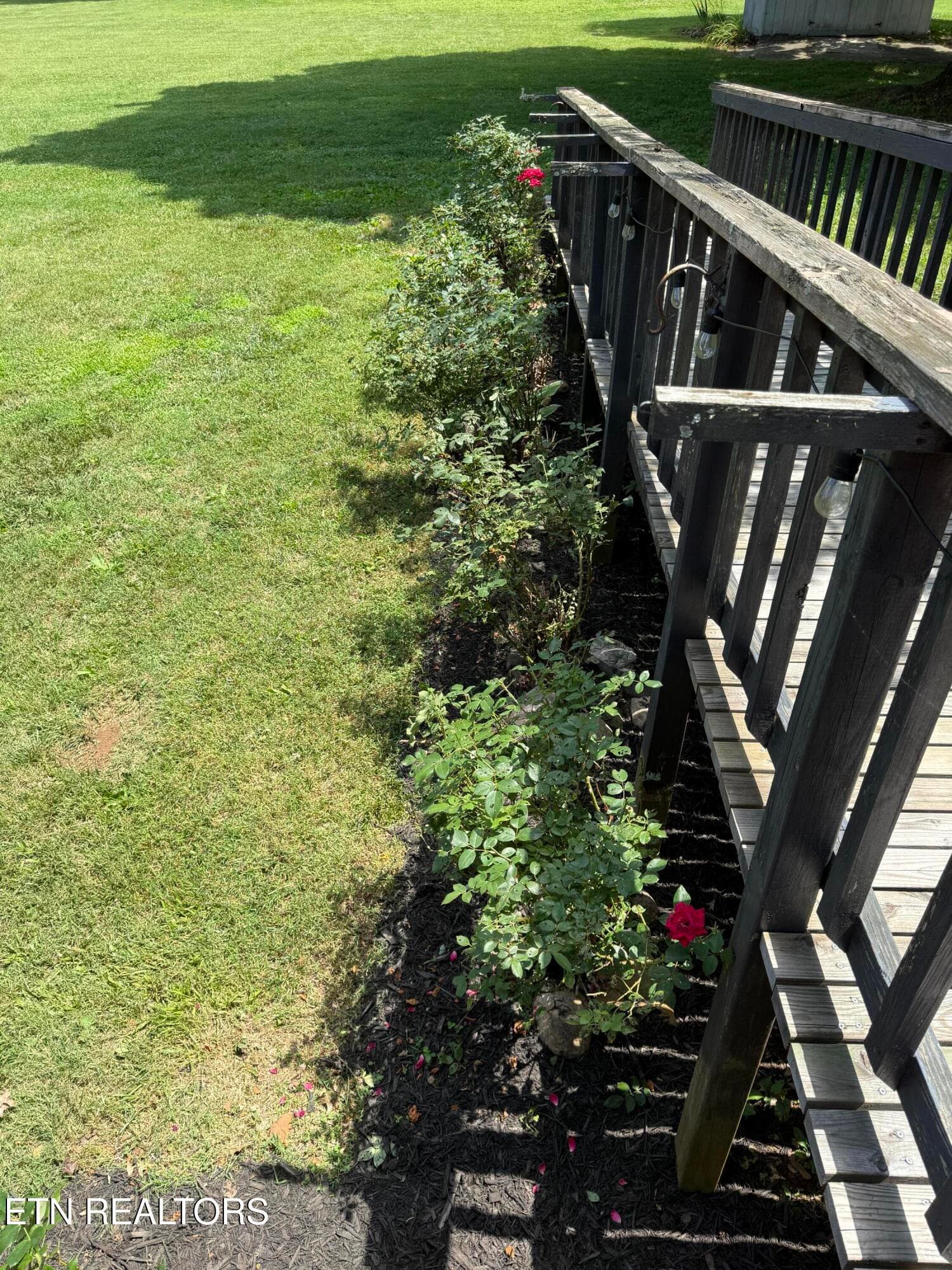 IMG_5403 (1) - 4544 N Wildwood Rd, Maryville, TN 37804