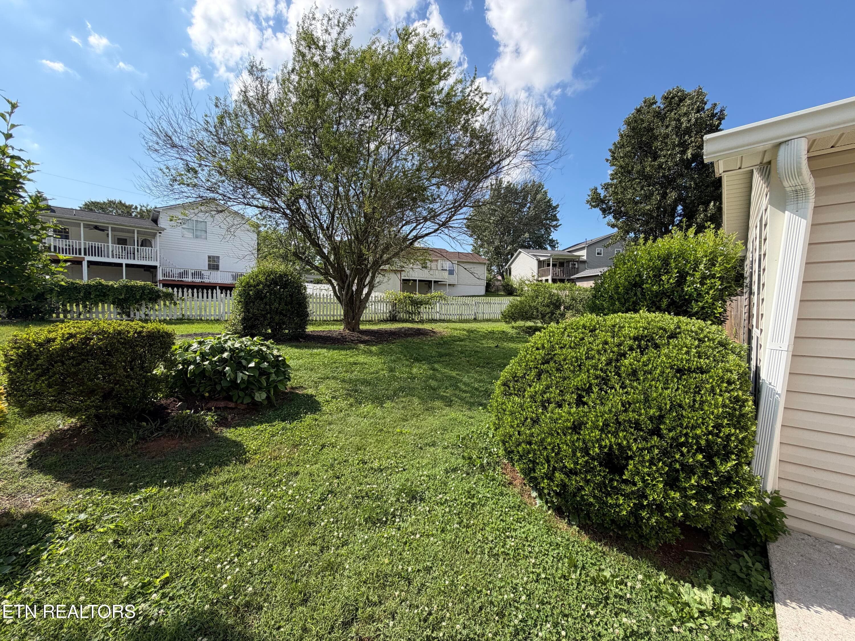 IMG_8728 - 2337 Scanlon Court, Powell, TN 37849