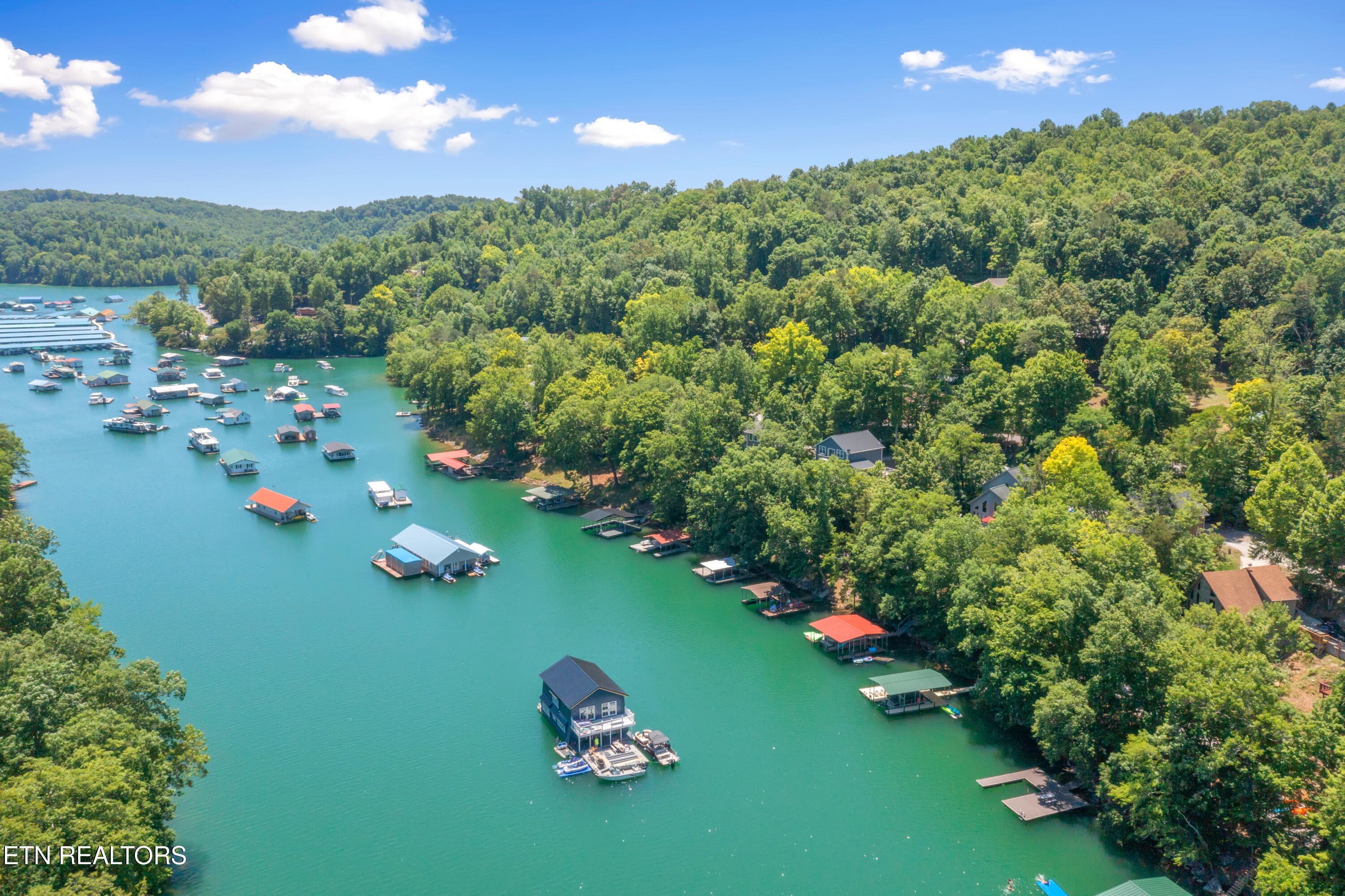 147 Flat Lake Circle-73 - 147 Flat Lake Circle, Speedwell, TN 37870, Speedwell