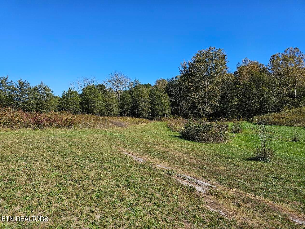Shoreline Vista, Sharps Chapel, TN 37866