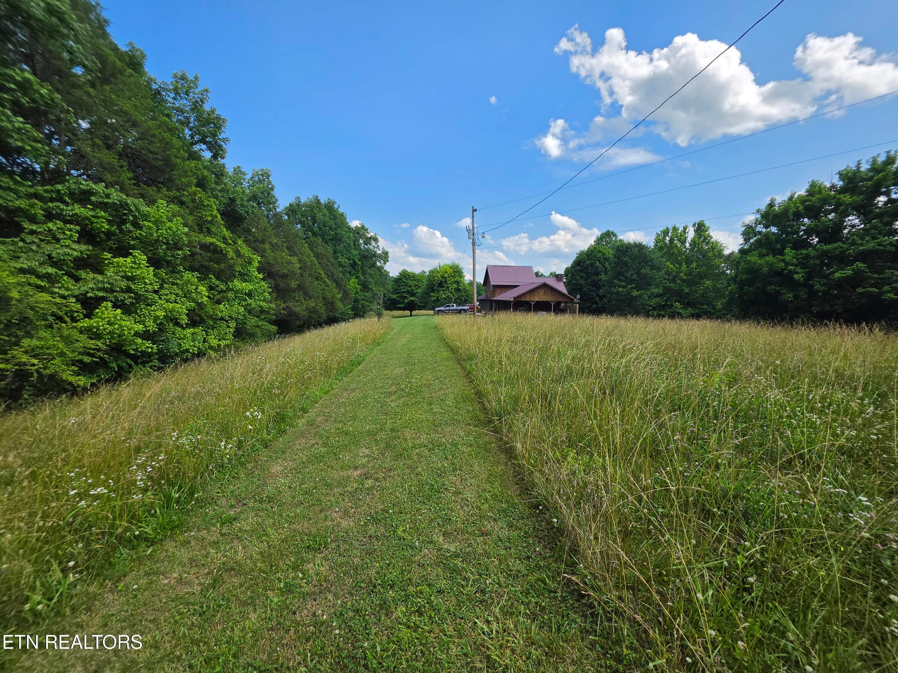 20260611_163004 - 264 Carlos Rd, Sneedville, TN 37869, Sneedville