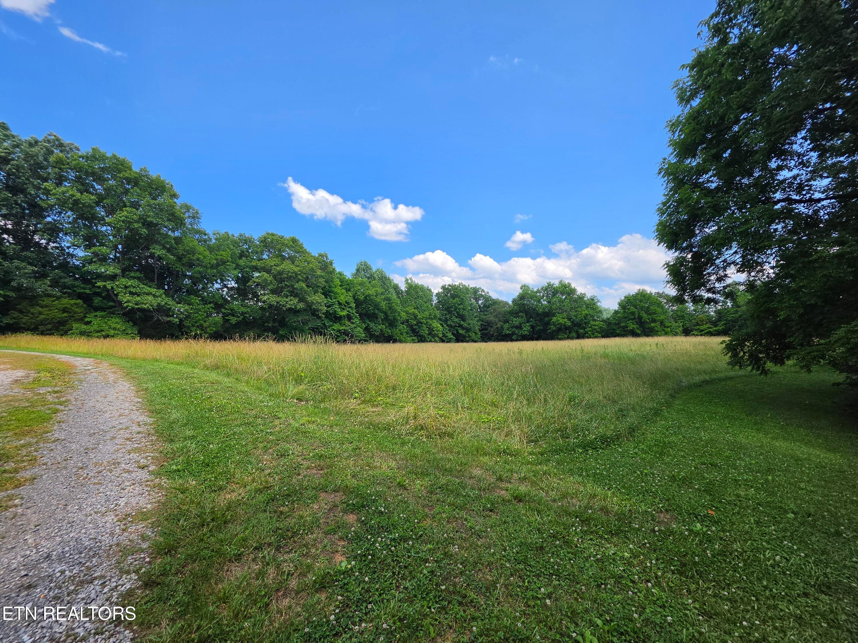 20260611_162049 - 264 Carlos Rd, Sneedville, TN 37869, Sneedville