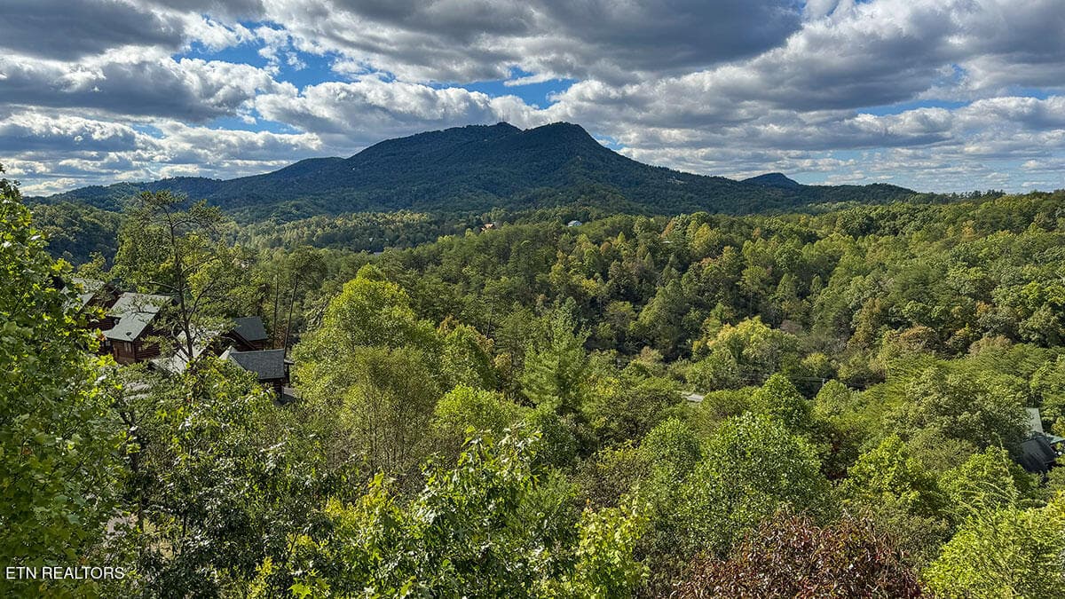 rental-cabin-02 - 1352 Timberwolf Way, Sevierville, TN 37876